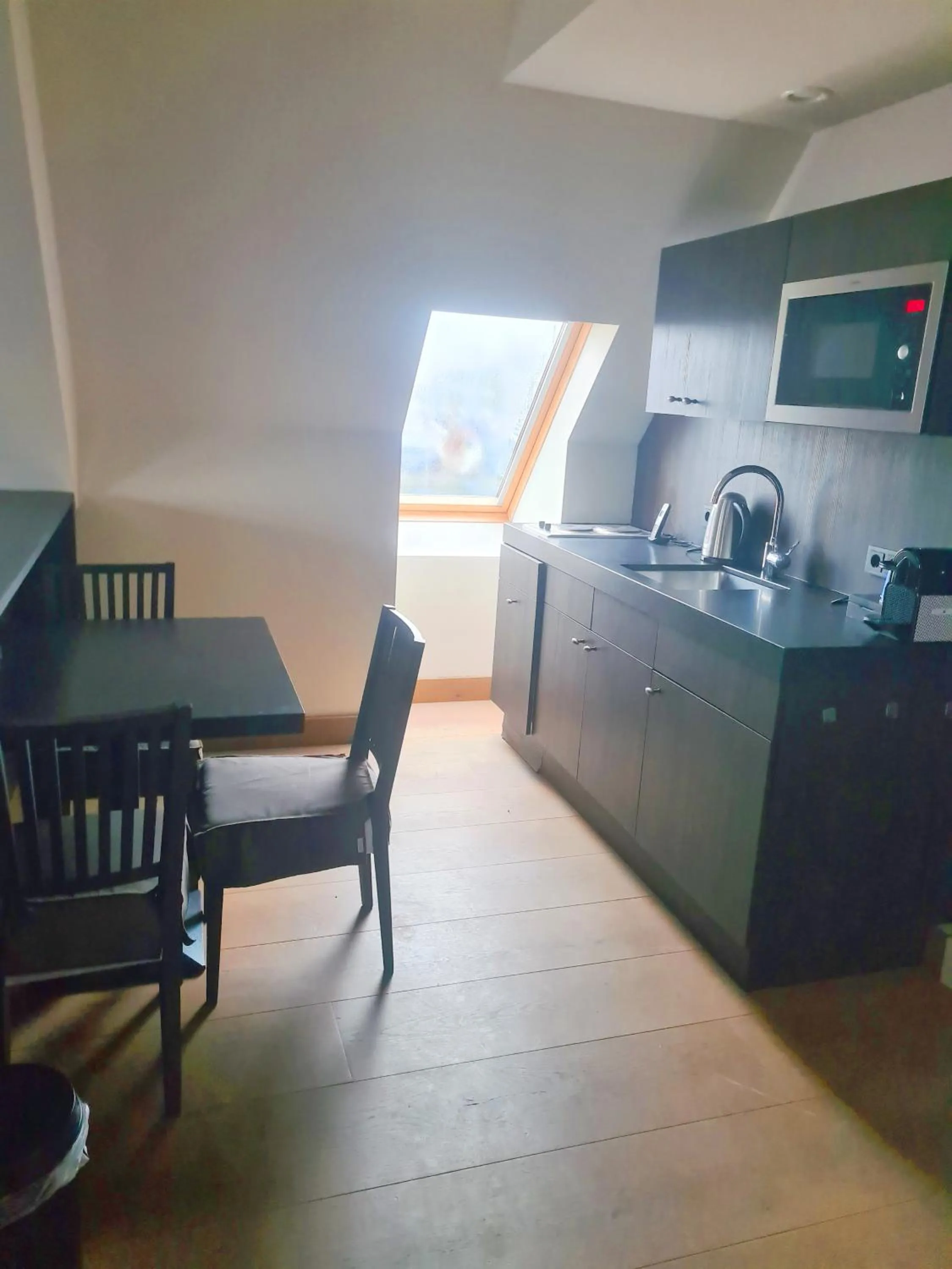 Kitchen or kitchenette in Fletcher Hotel - Restaurant Nautisch Kwartier