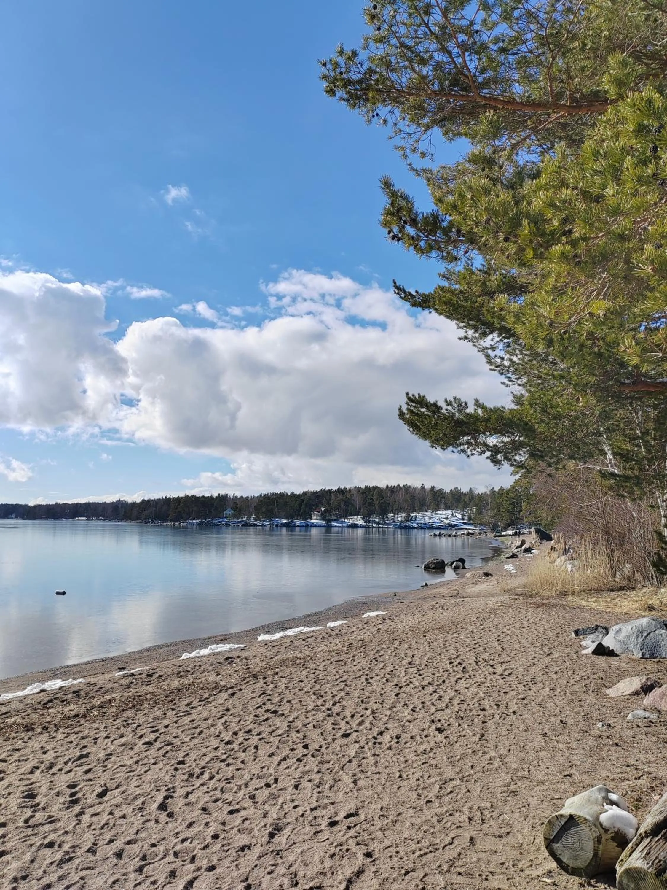 Natural landscape in Hotel Rantapuisto