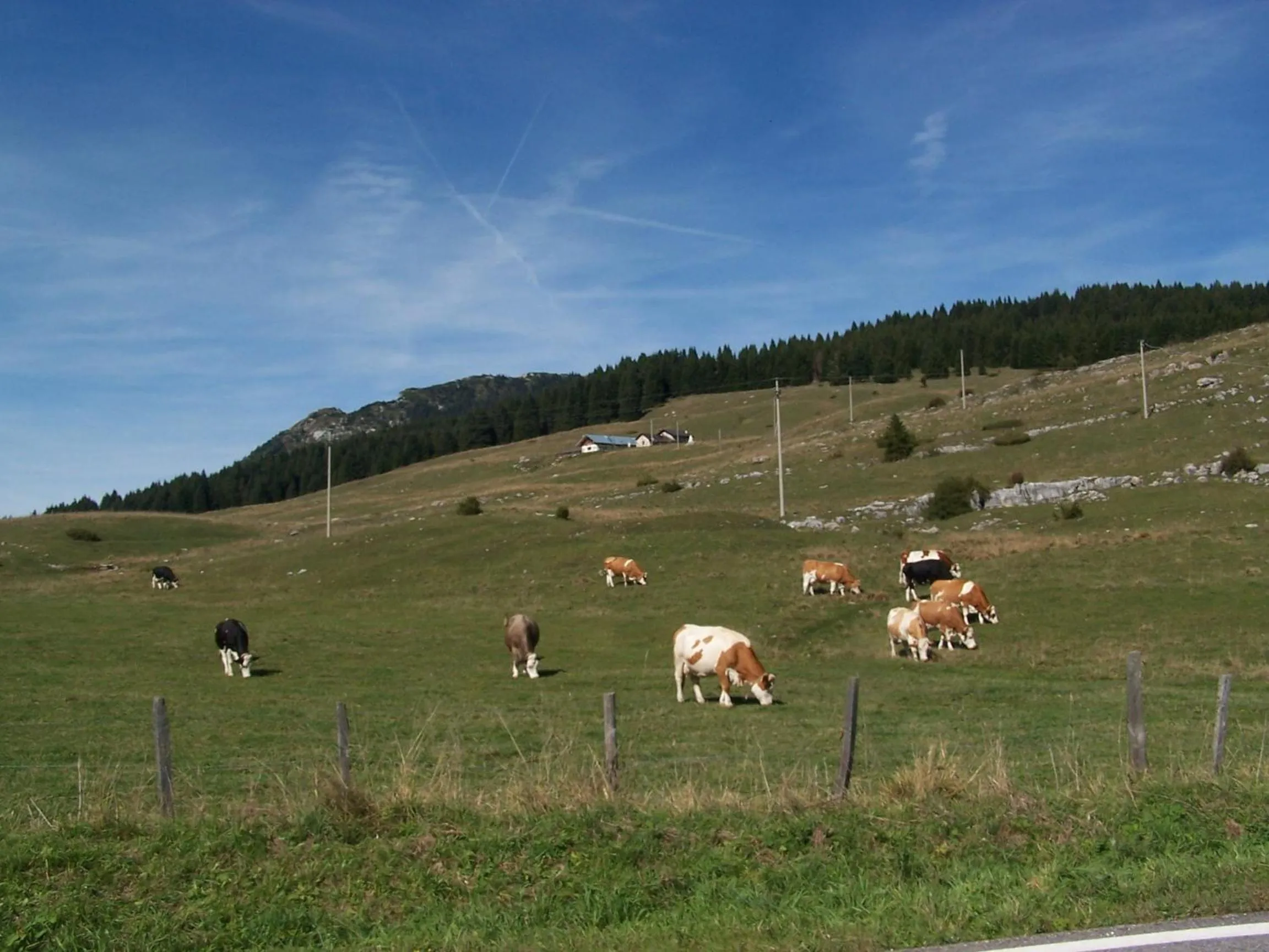 Hiking in Tana Della Volpe