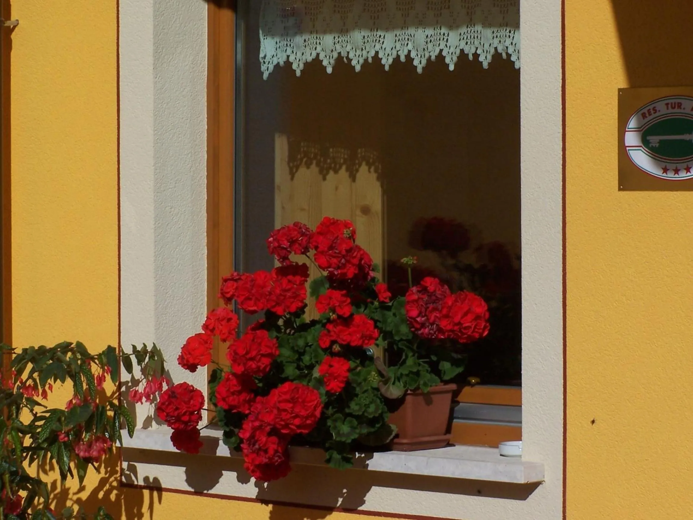 Summer in Tana Della Volpe