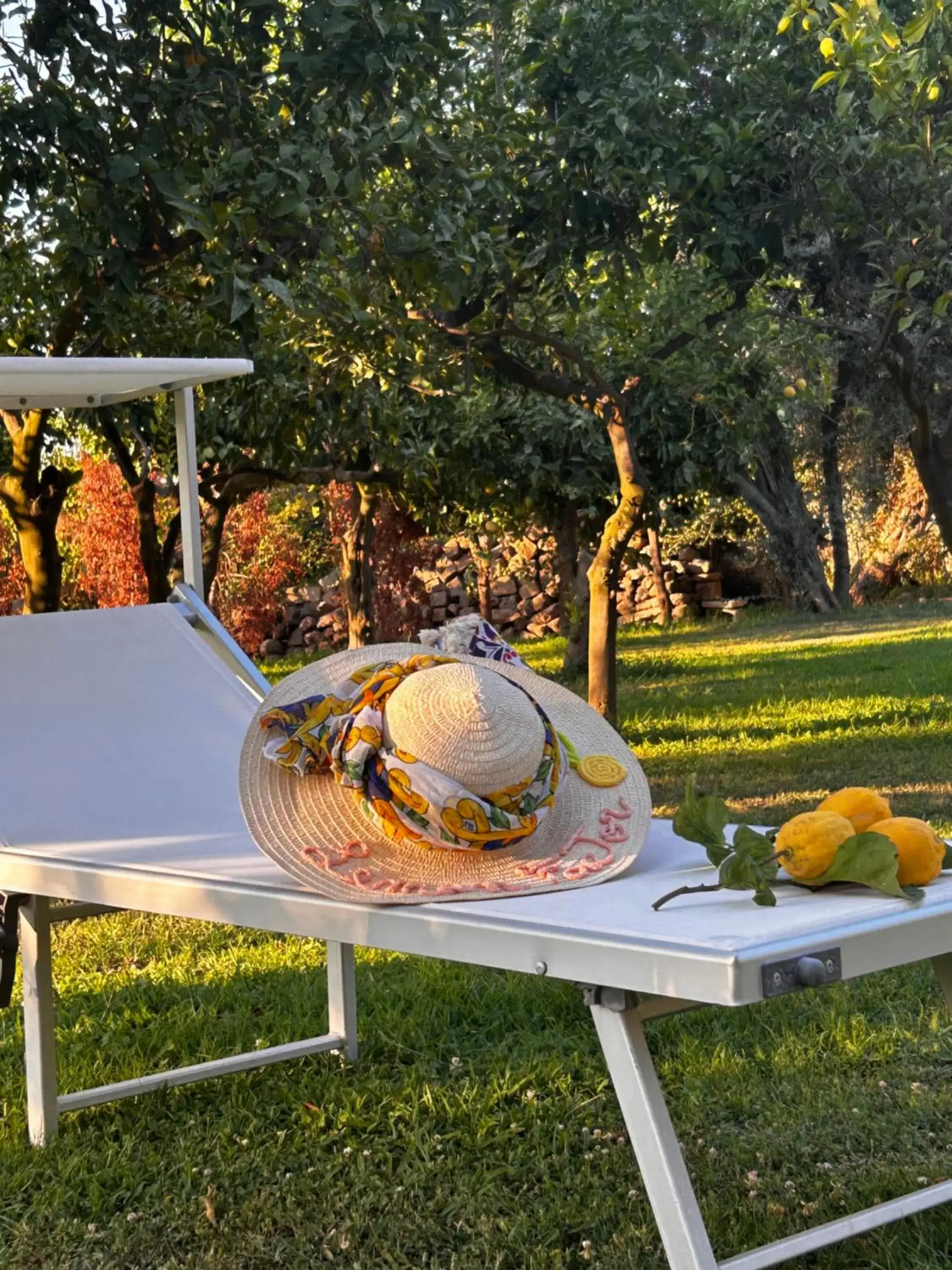 Lemon Factor Sorrento Lemon Factor Sorrento