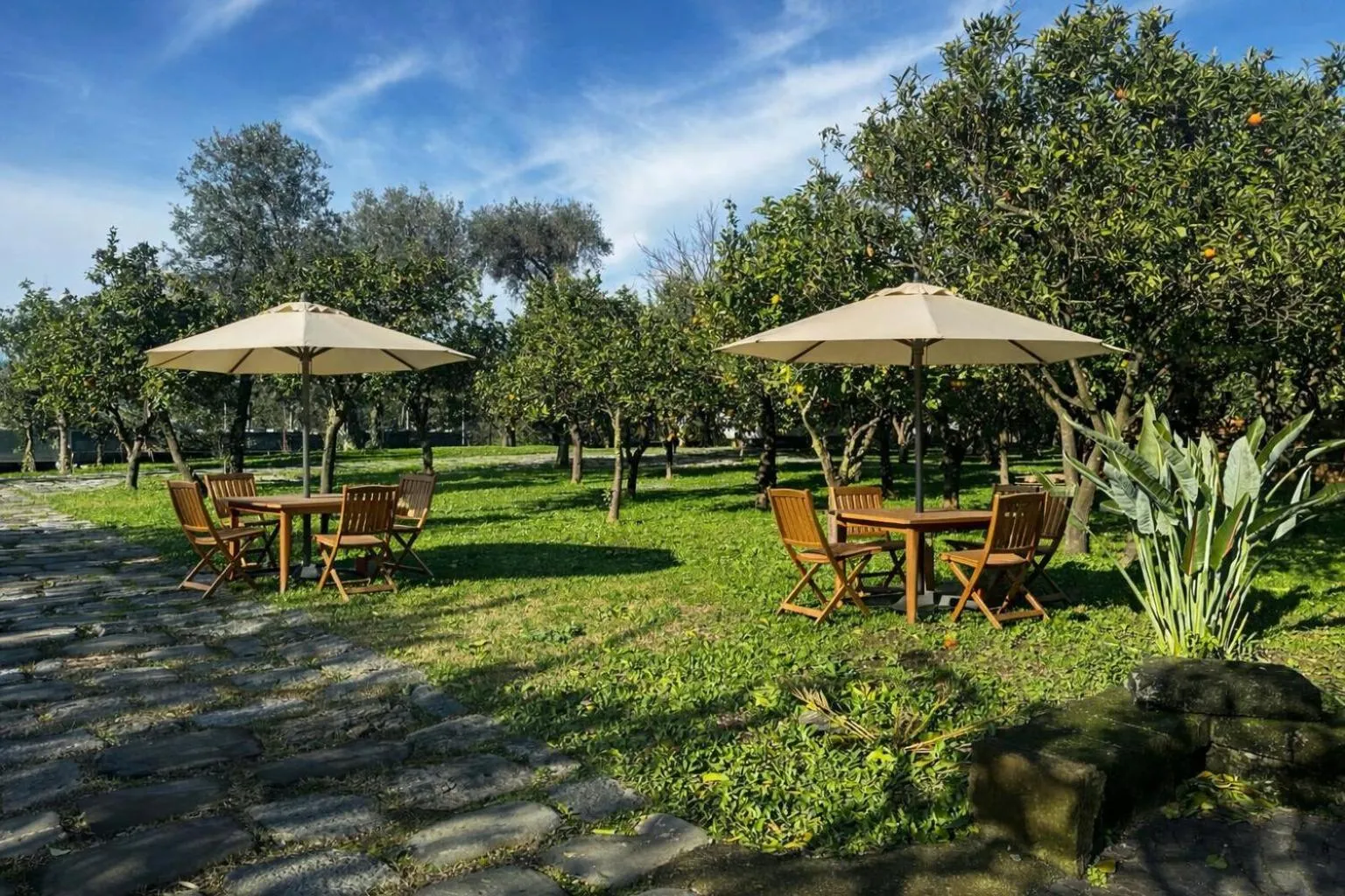 Lemon Factor Sorrento