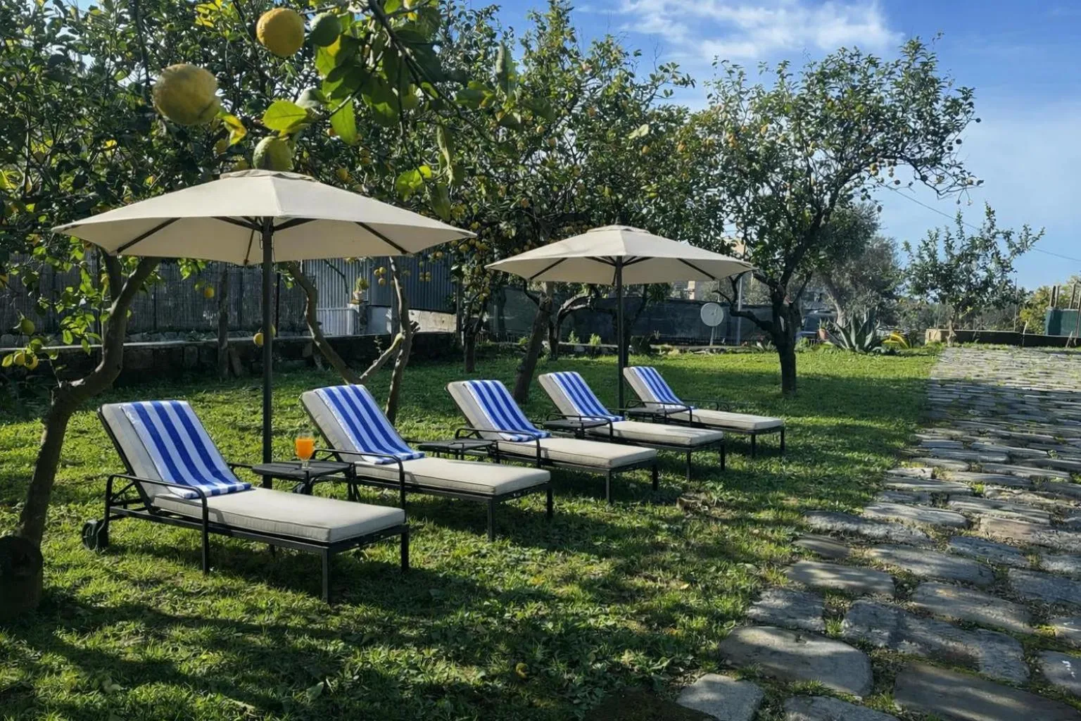 Lemon Factor Sorrento