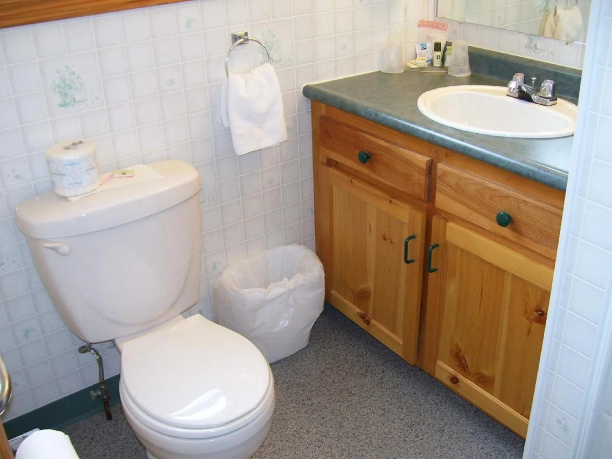 Toilet in Admiral Digby Inn Restaurant and Cottages