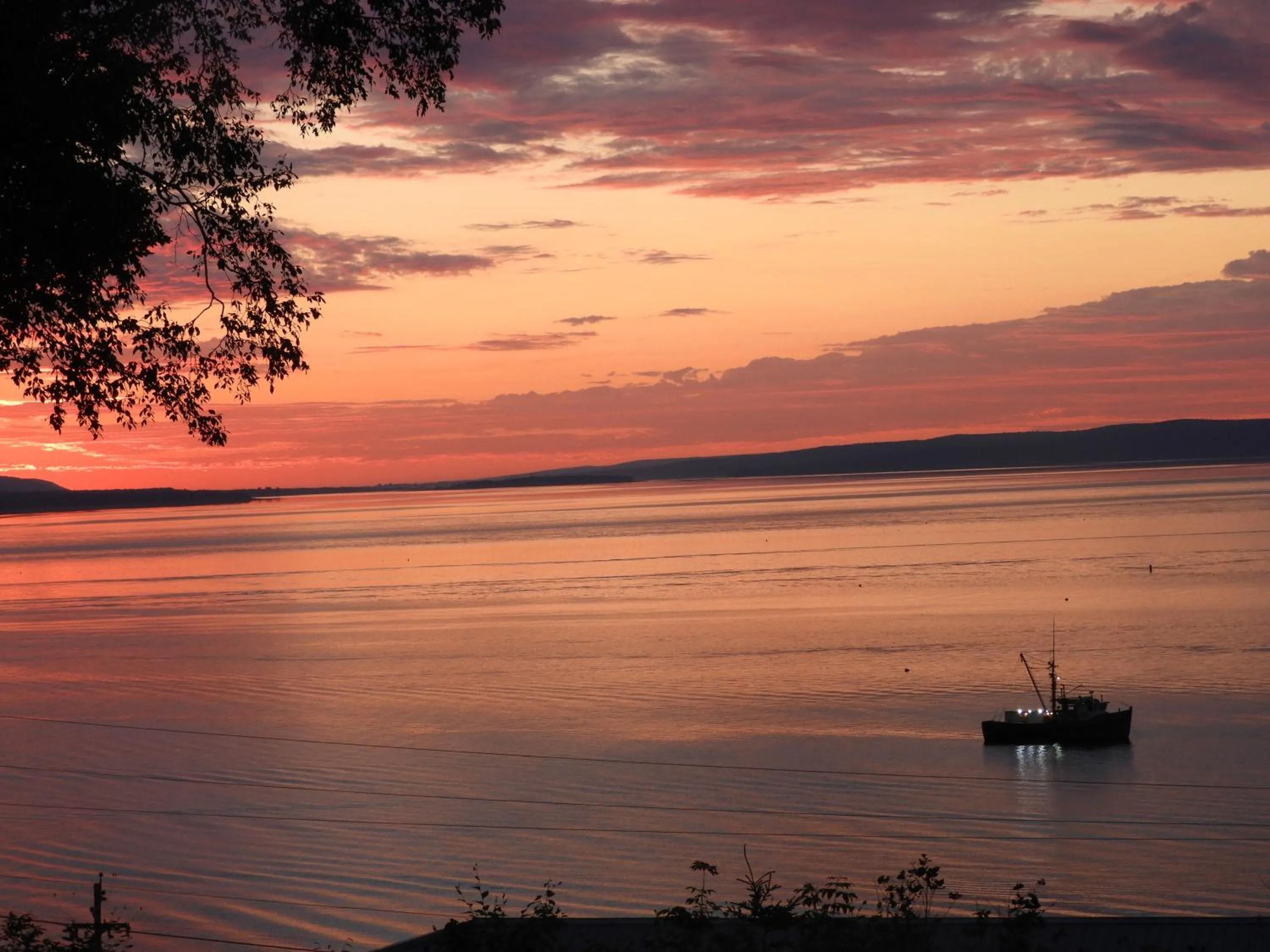 Sea view in Admiral Digby Inn Restaurant and Cottages