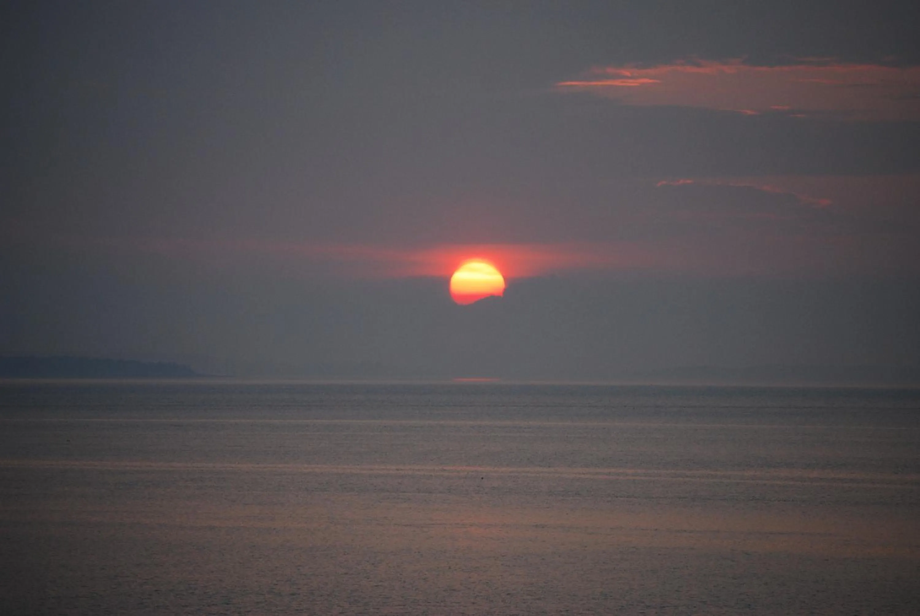 View (from property/room) in Admiral Digby Inn Restaurant and Cottages