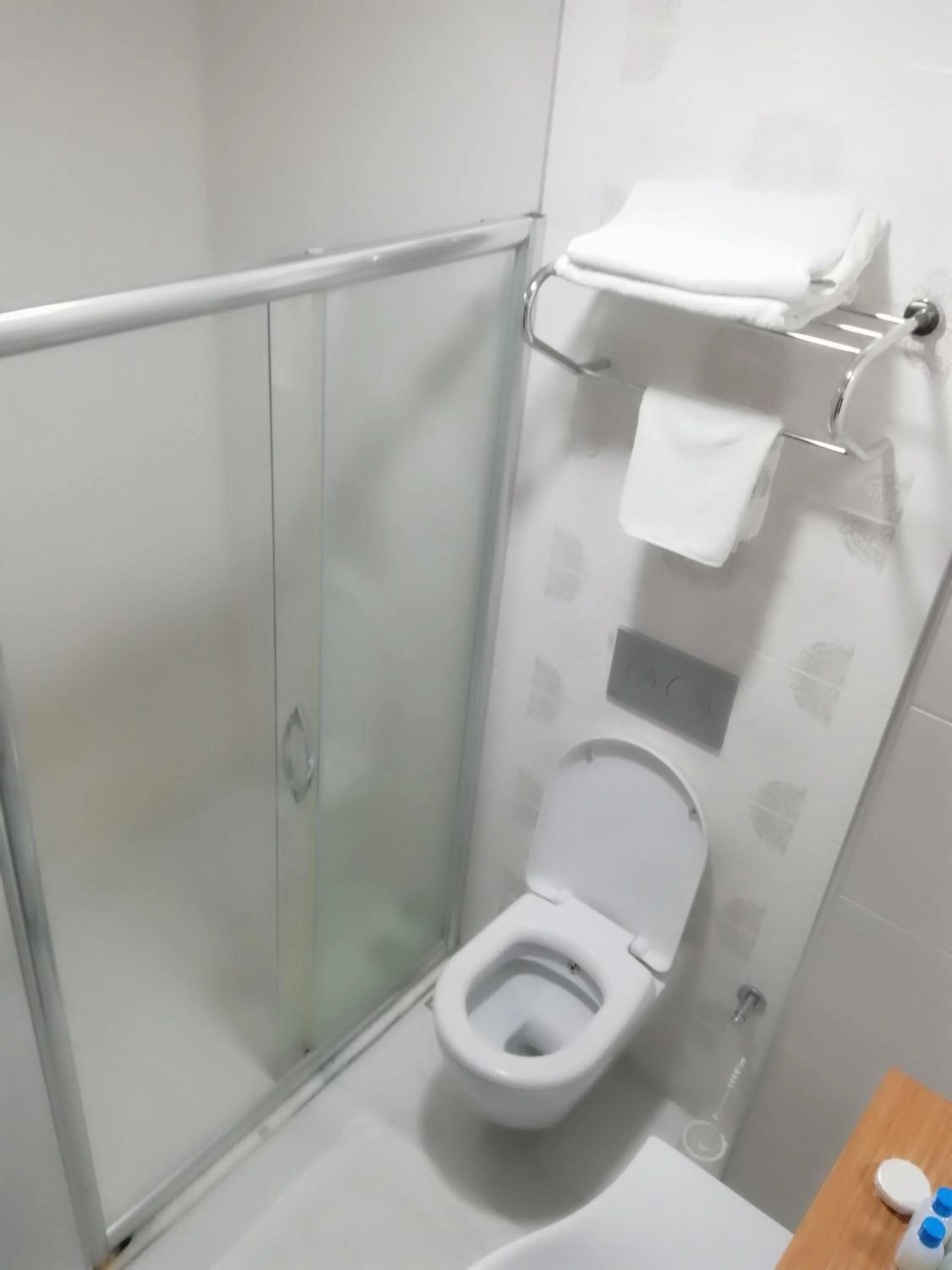 Toilet in Bursa şahin hotel