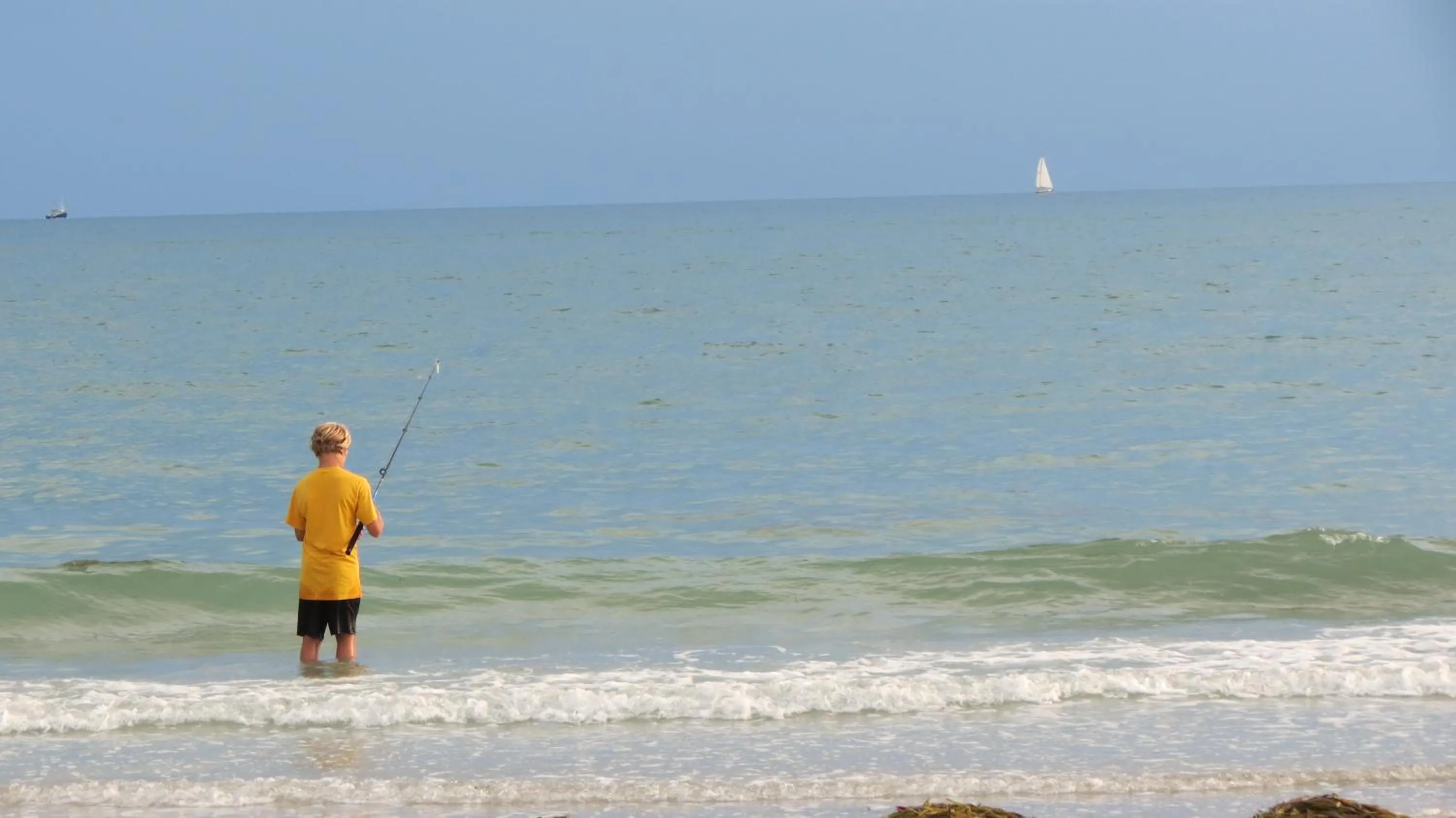 Natural landscape in Beachside Resort Motel