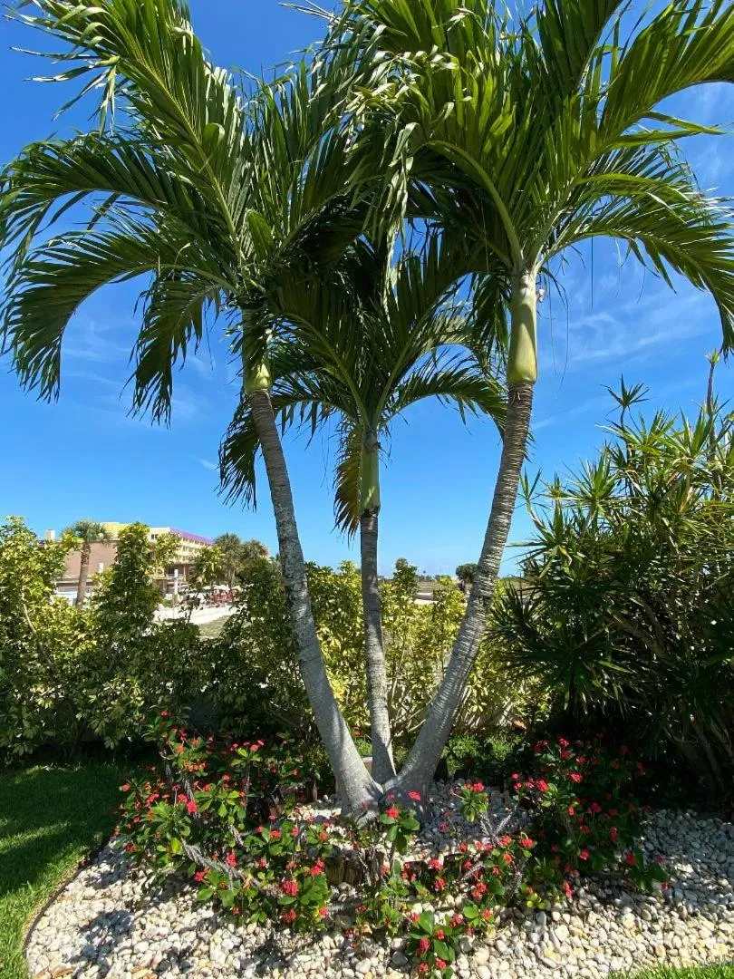 Beachside Resort Motel