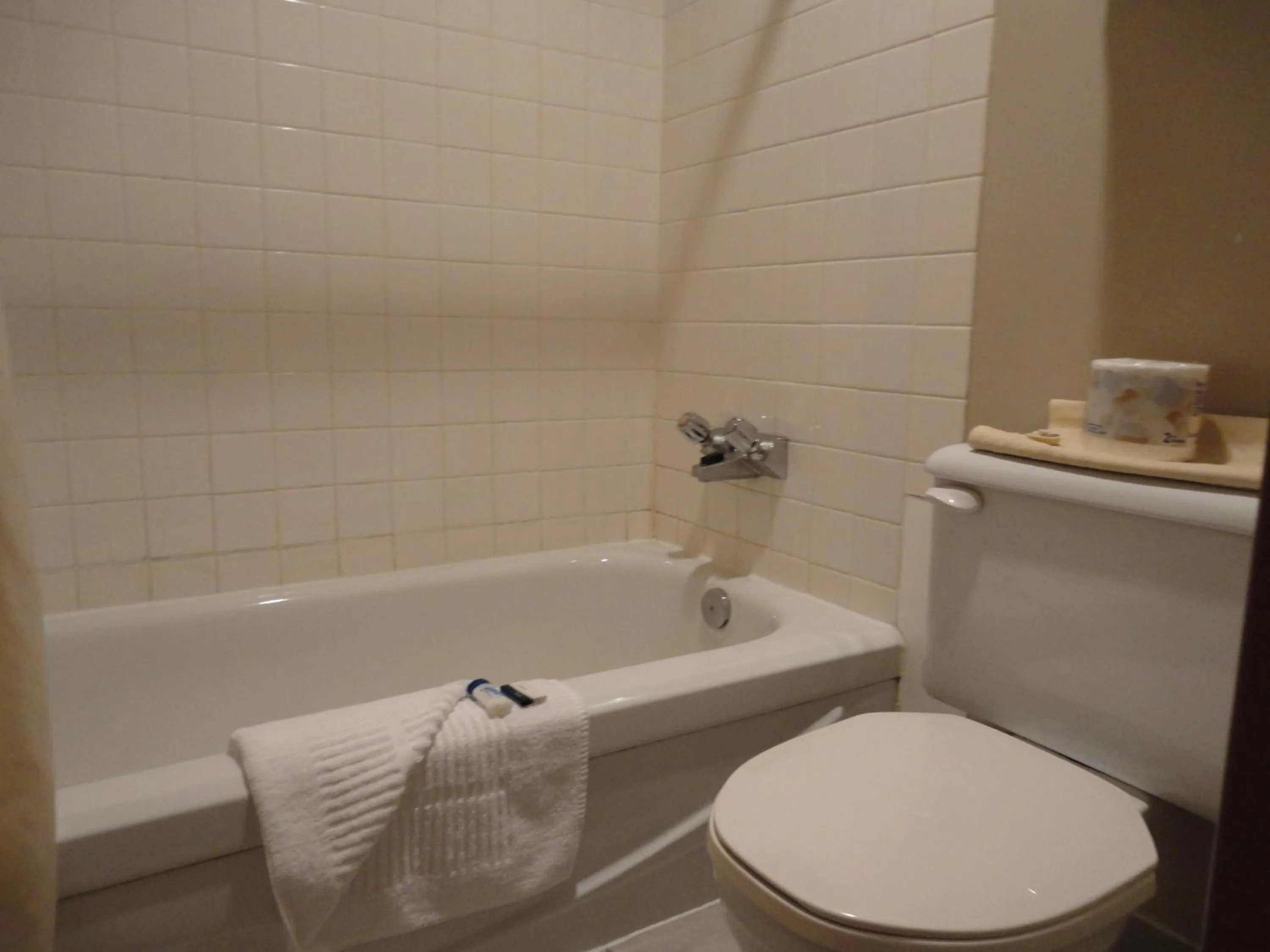 Toilet in Falcon Resort