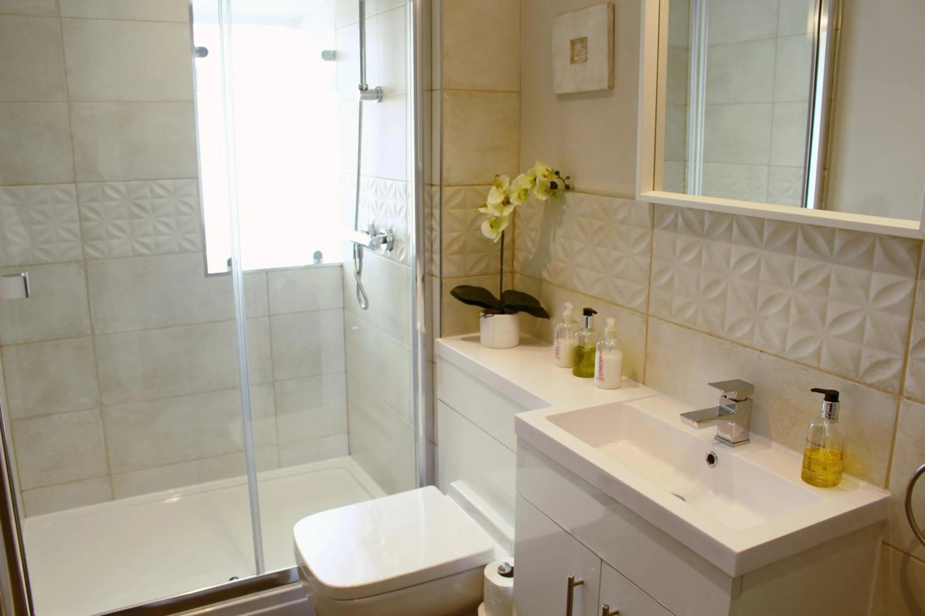 Shower in Kirk View Apartment