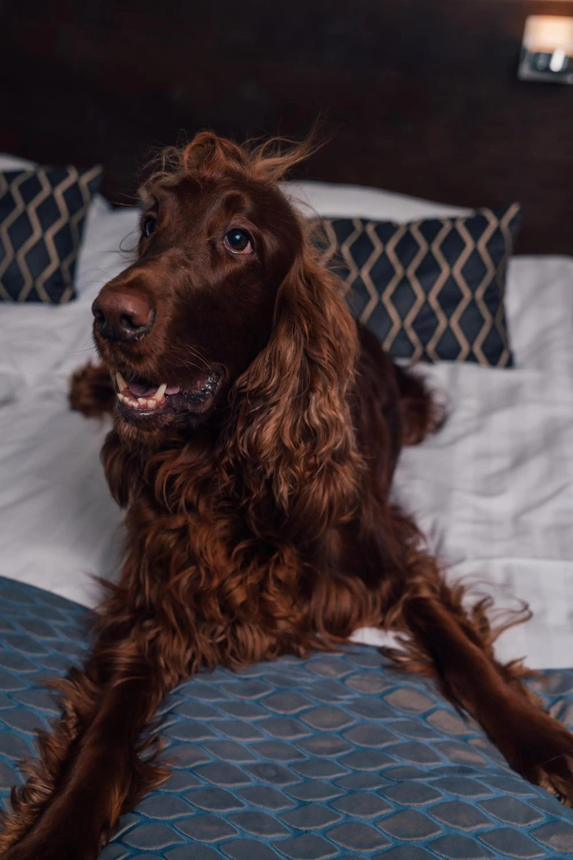 Bedroom in Hotel Haikko Manor & Spa