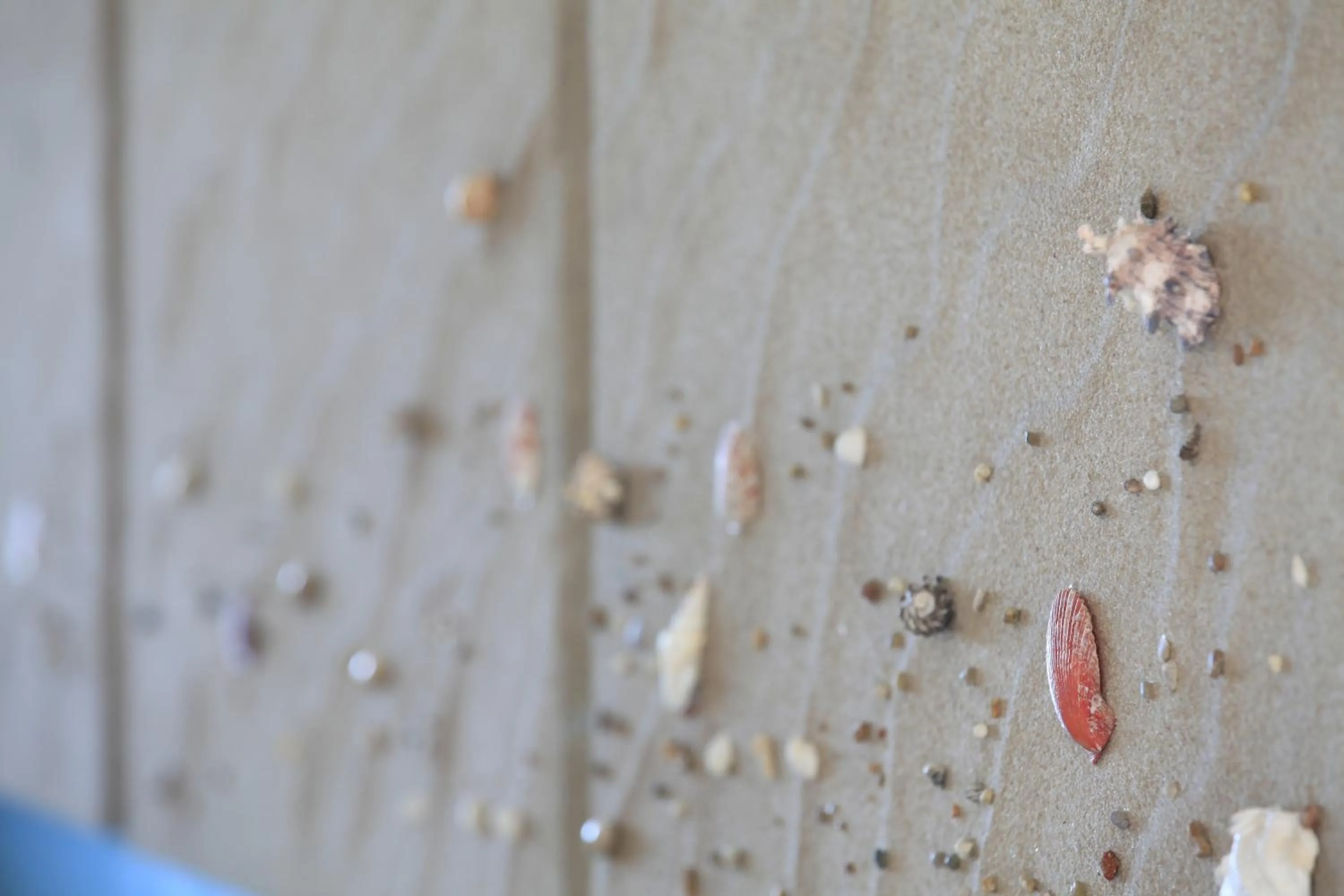 Lobby or reception in Palm Coco Mantra