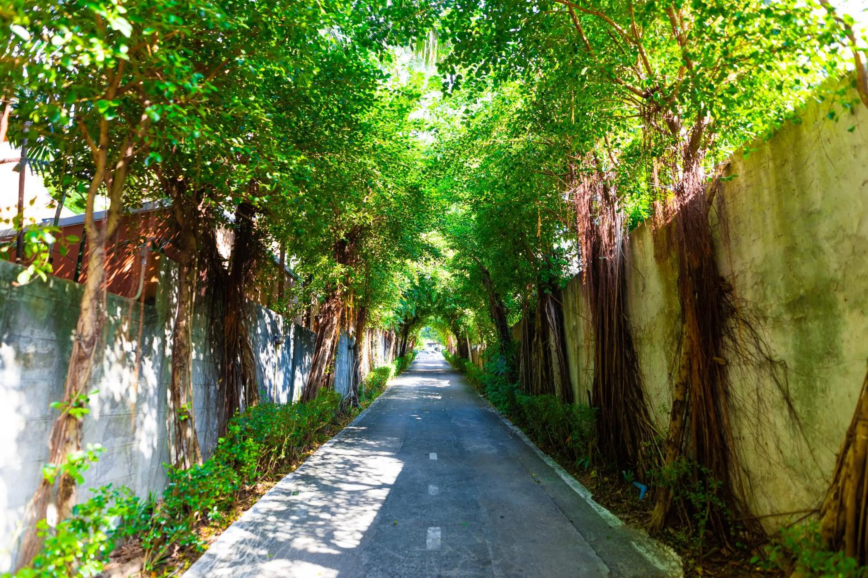 Facade/entrance in Palm Coco Mantra