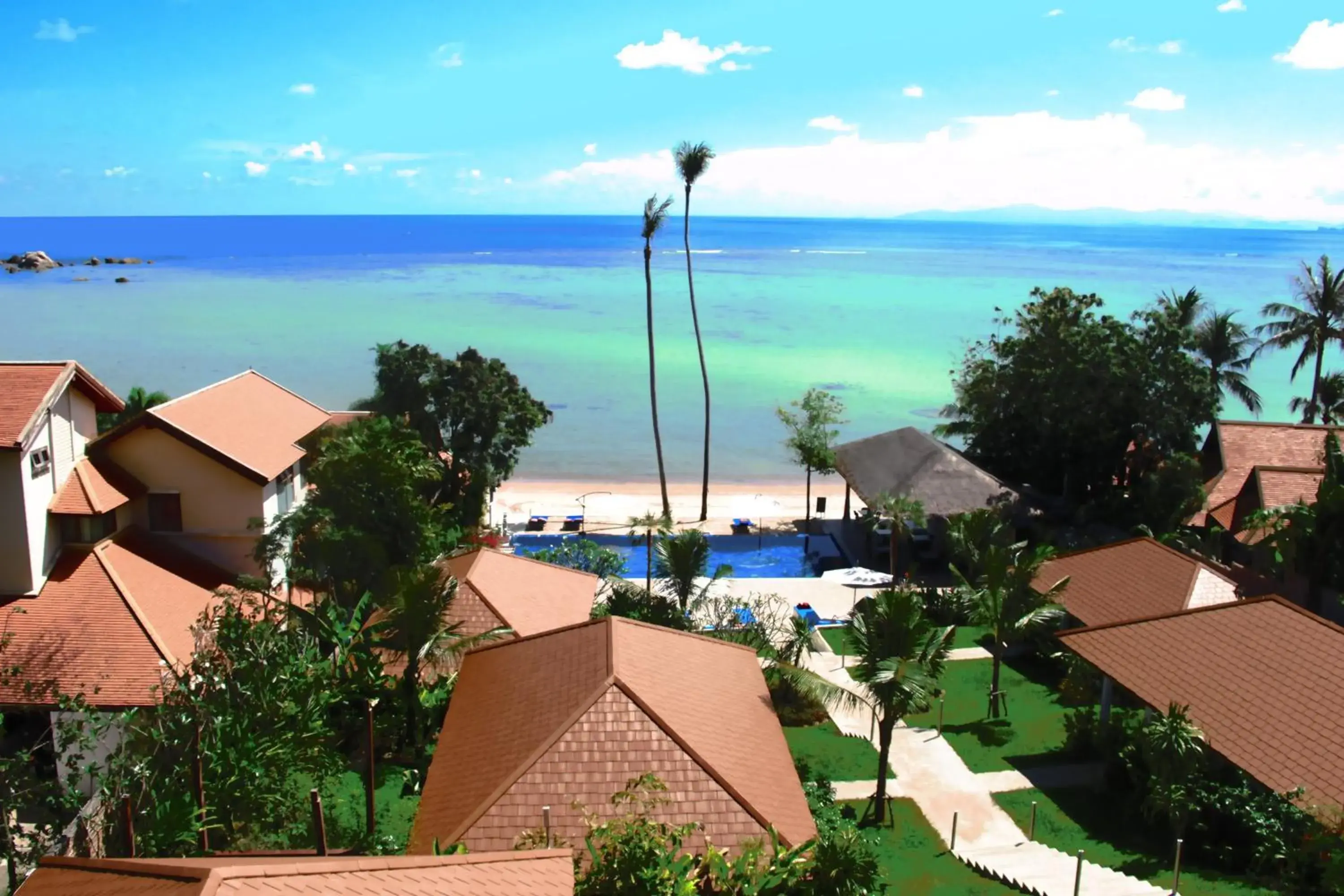 Bird's eye view in Palm Coco Mantra Bird's eye view in Palm Coco Mantra