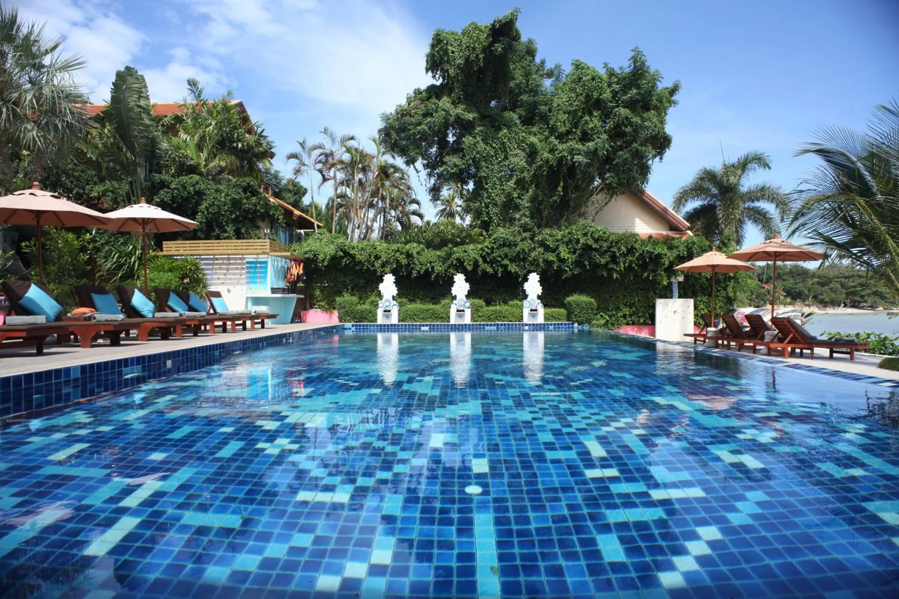 Beach in Palm Coco Mantra