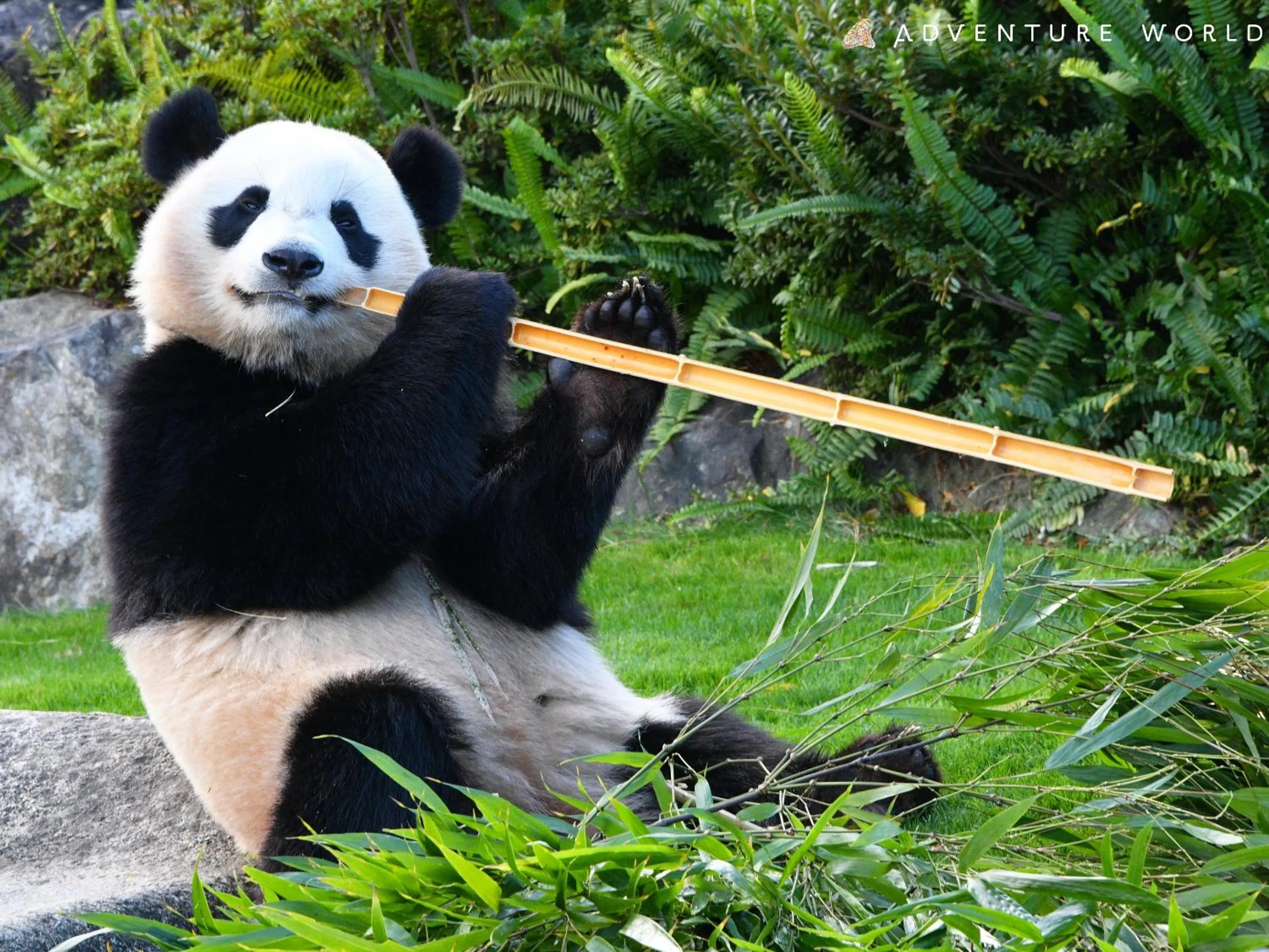 Nearby landmark in Hotel Sanrakuso