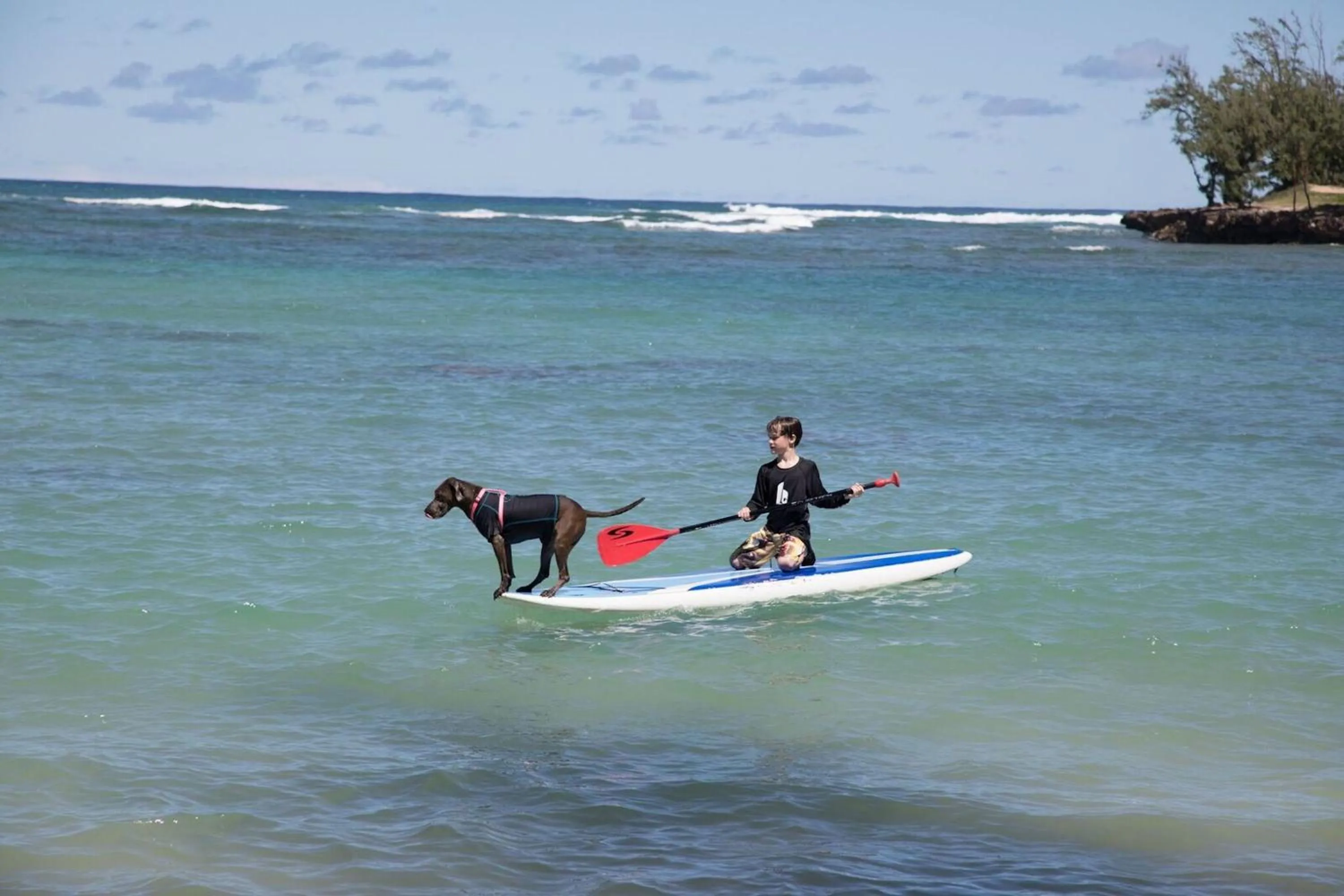 Day in Ocean Villas at Turtle Bay