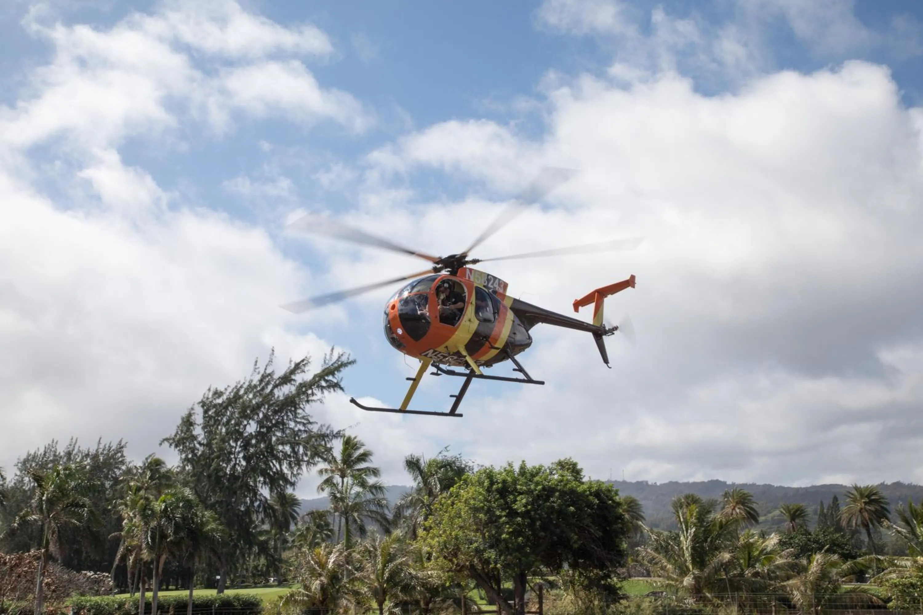 Natural landscape in Ocean Villas at Turtle Bay