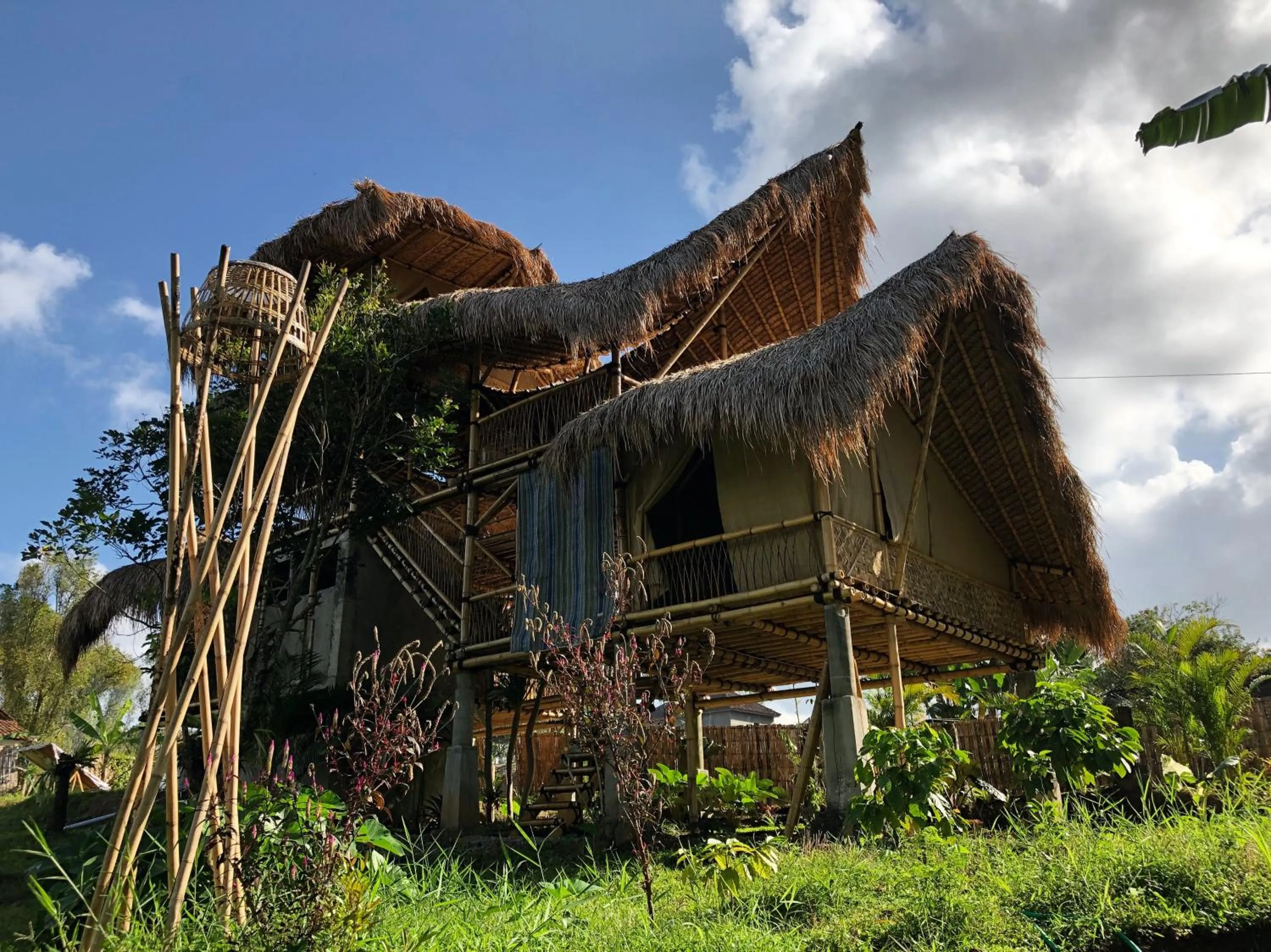 Property building in Bamboo & B