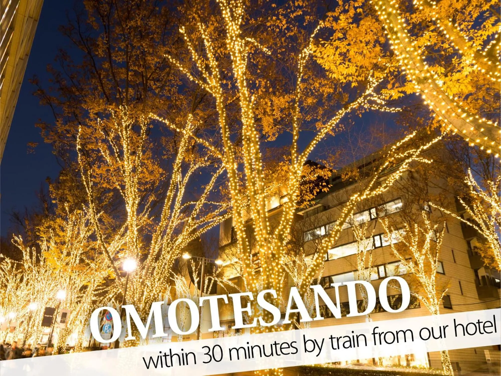 Nearby landmark in Hotel Rocks