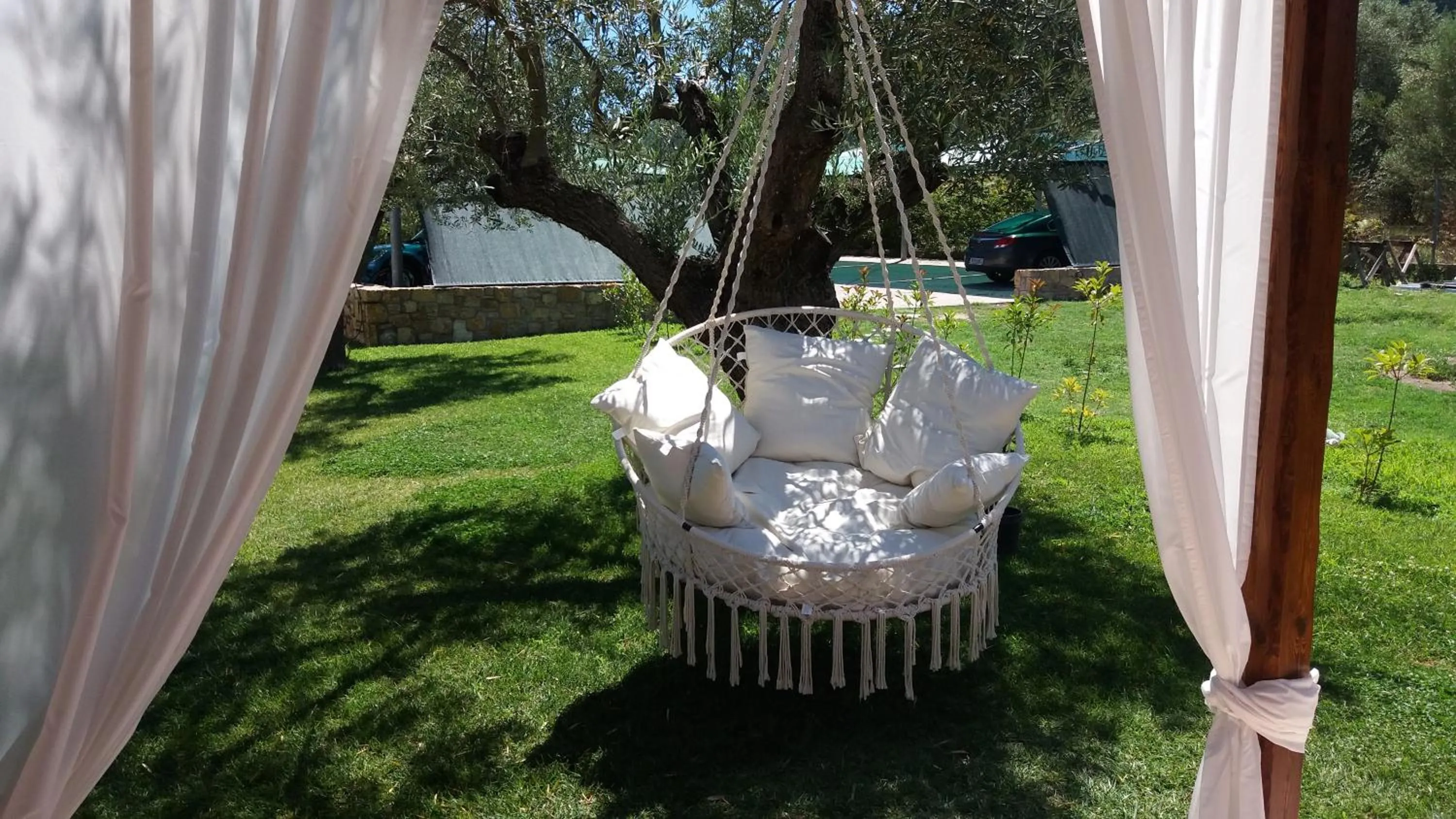 Garden in Fillis House