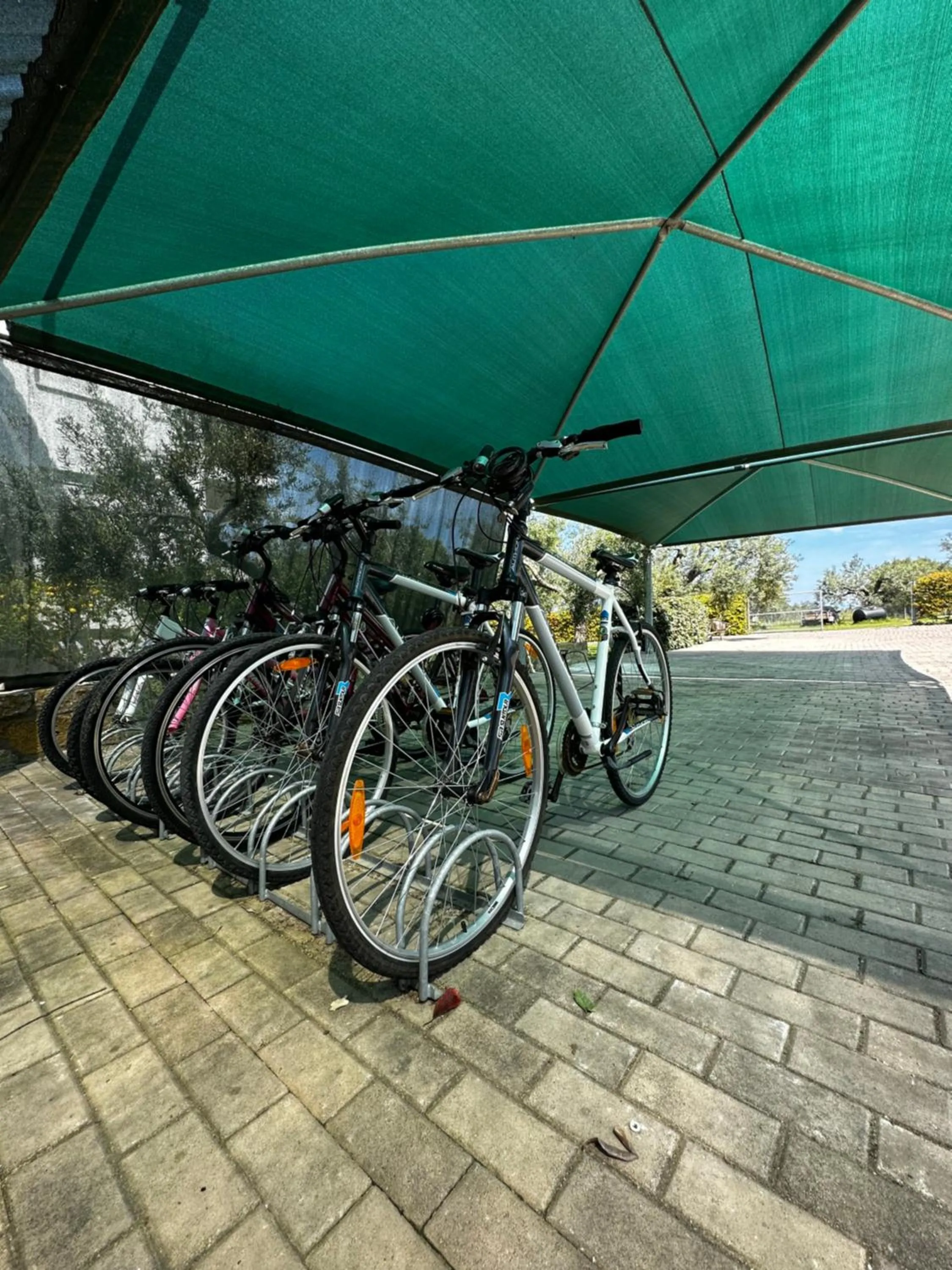 Cycling in Fillis House