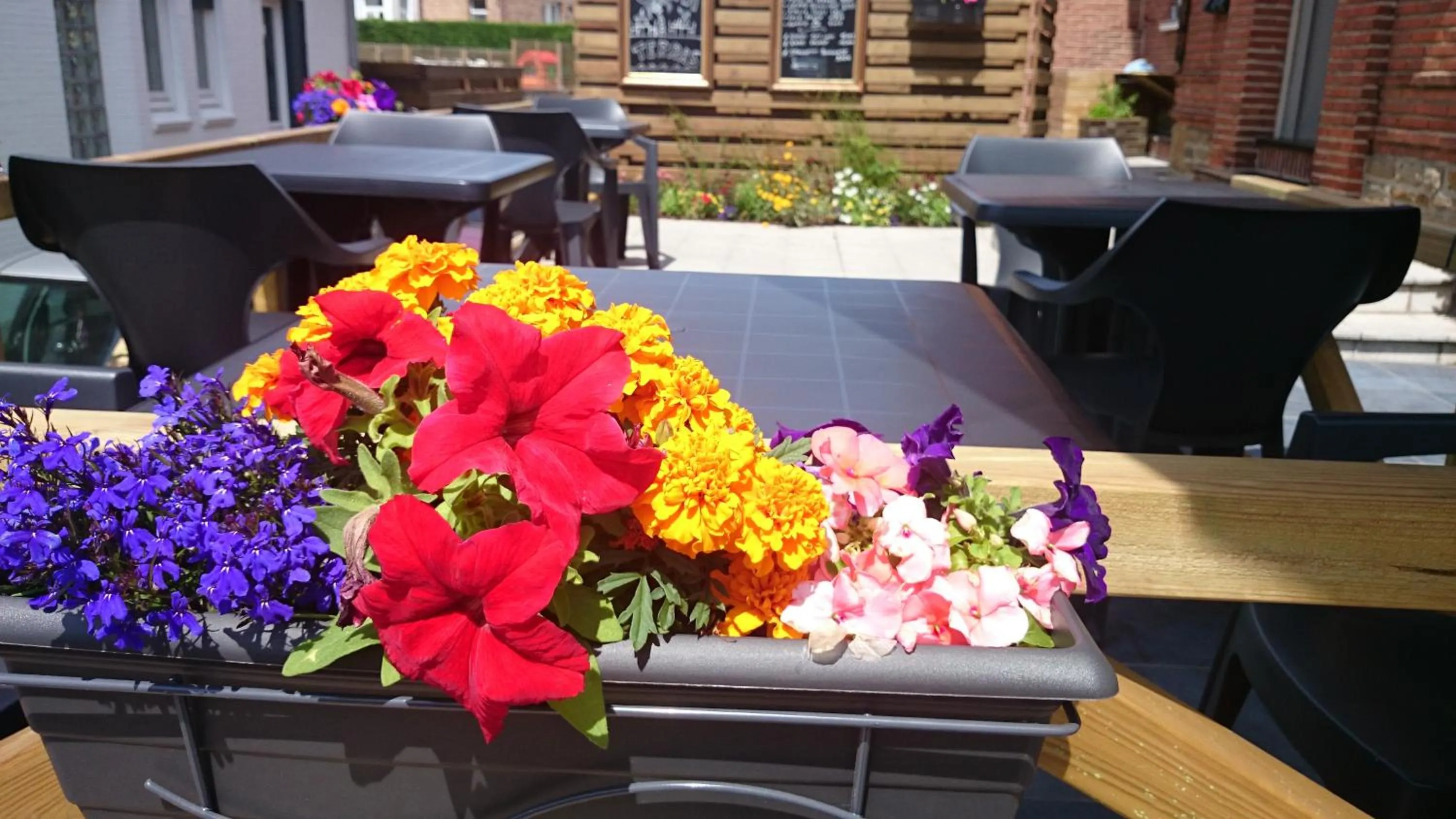 Balcony/Terrace in Logies Het Maantje