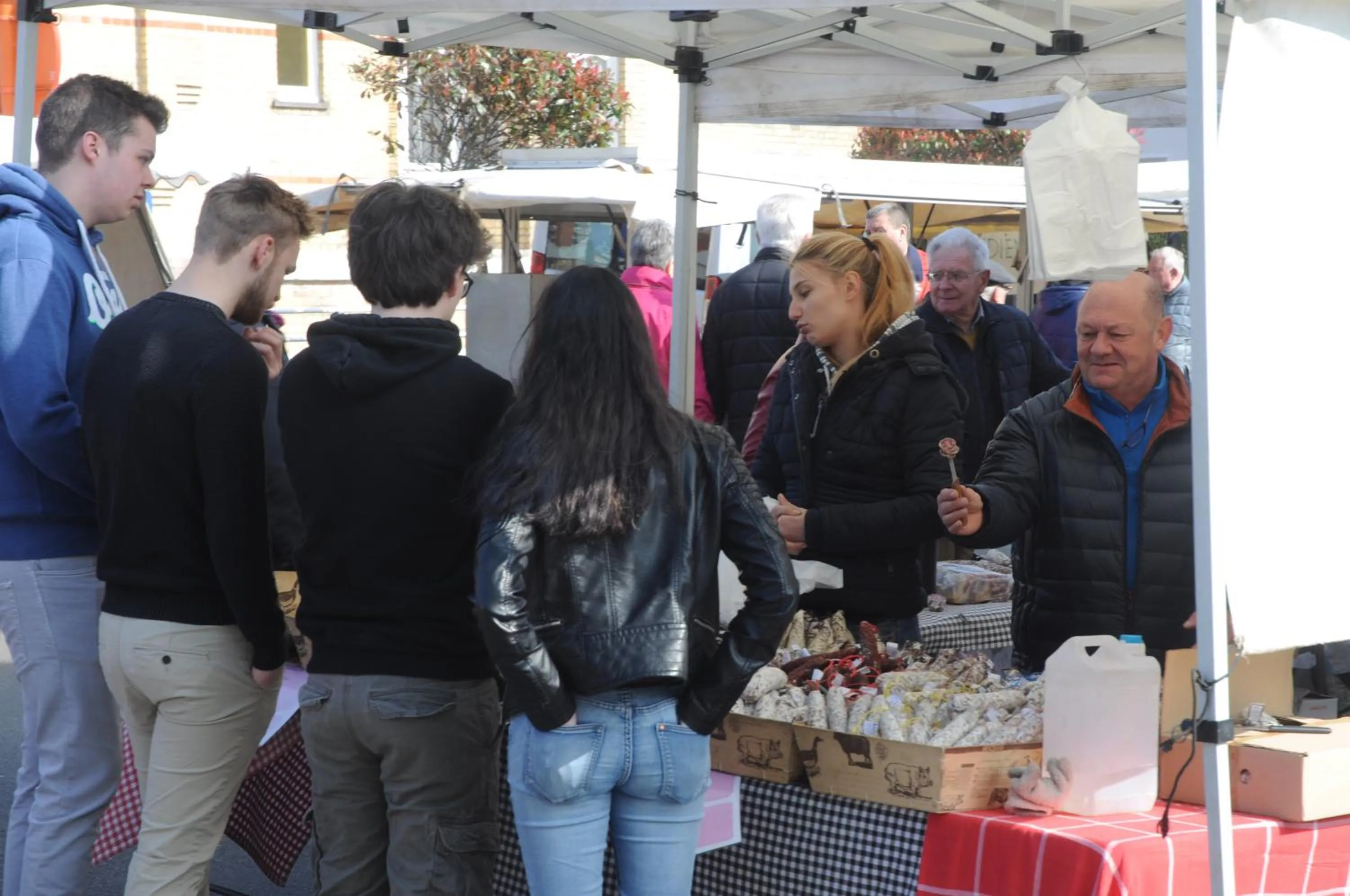 Activities in Logies Het Maantje