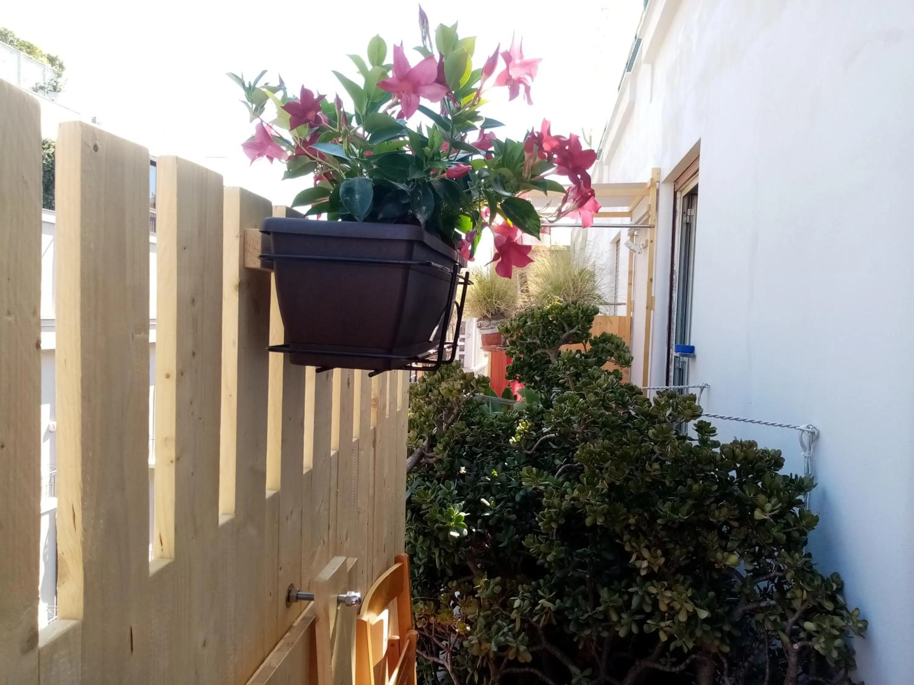 View (from property/room) in Ariston Petit Hotel