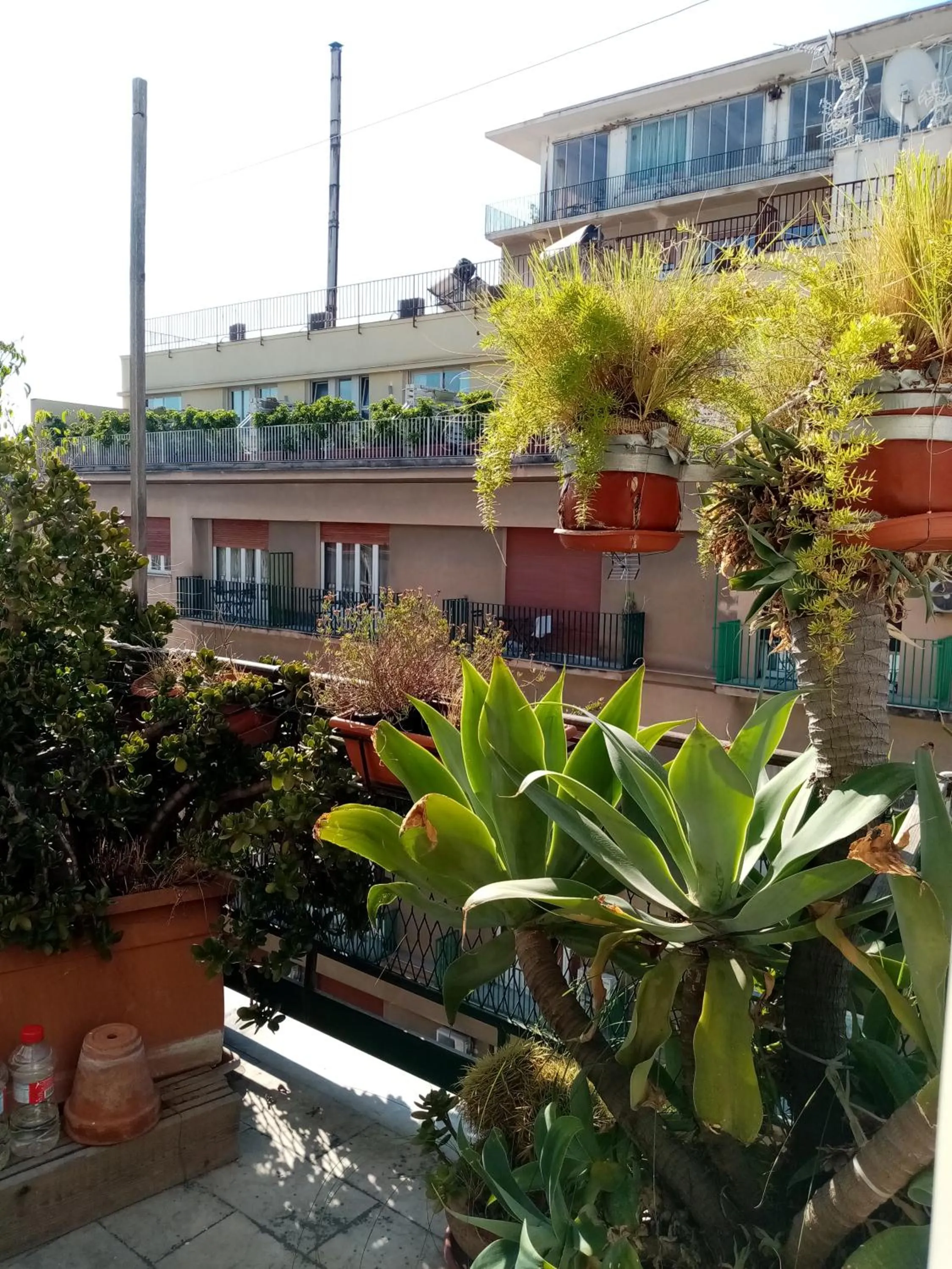 Balcony/Terrace in Ariston Petit Hotel