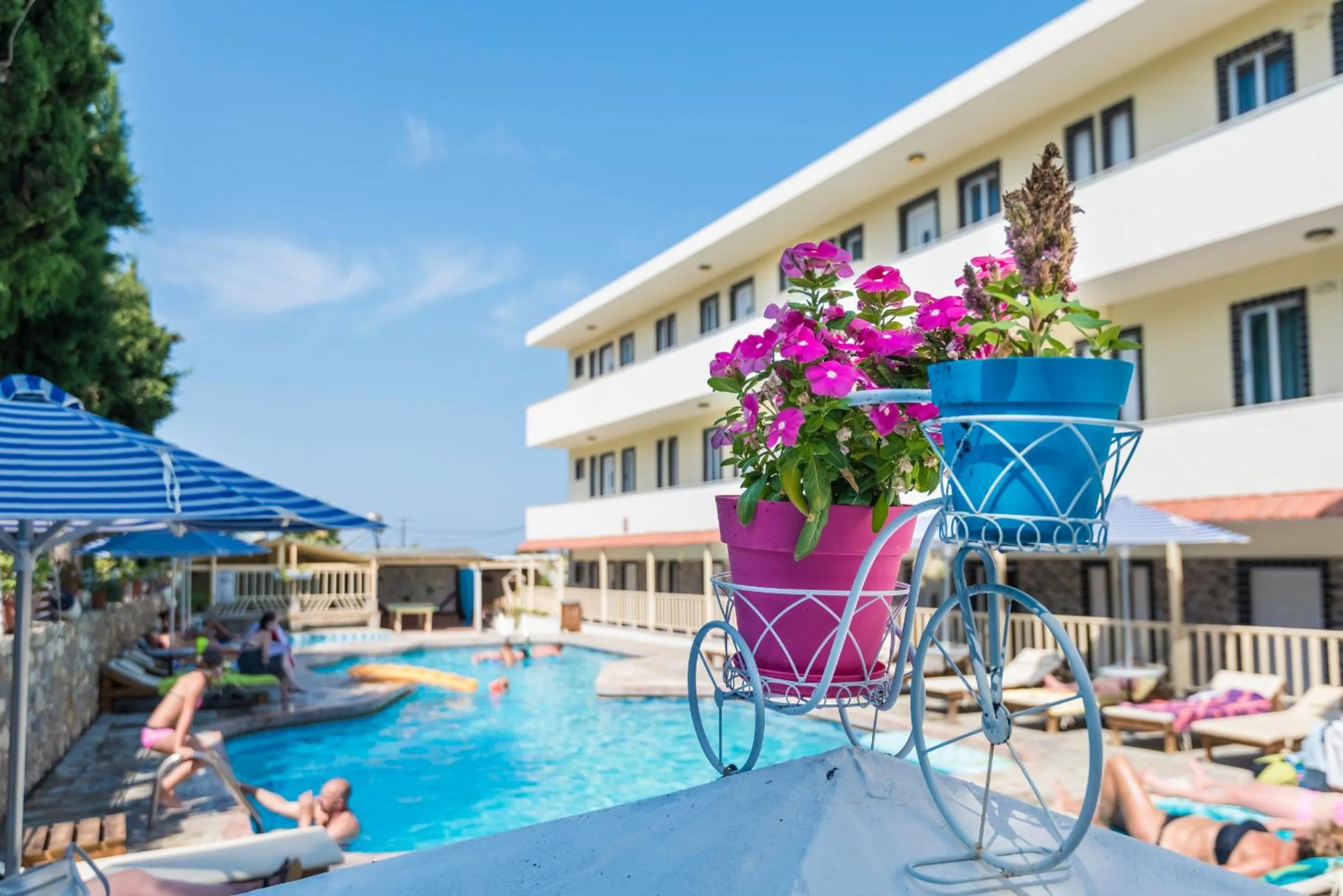 Pool view in Sunny Days