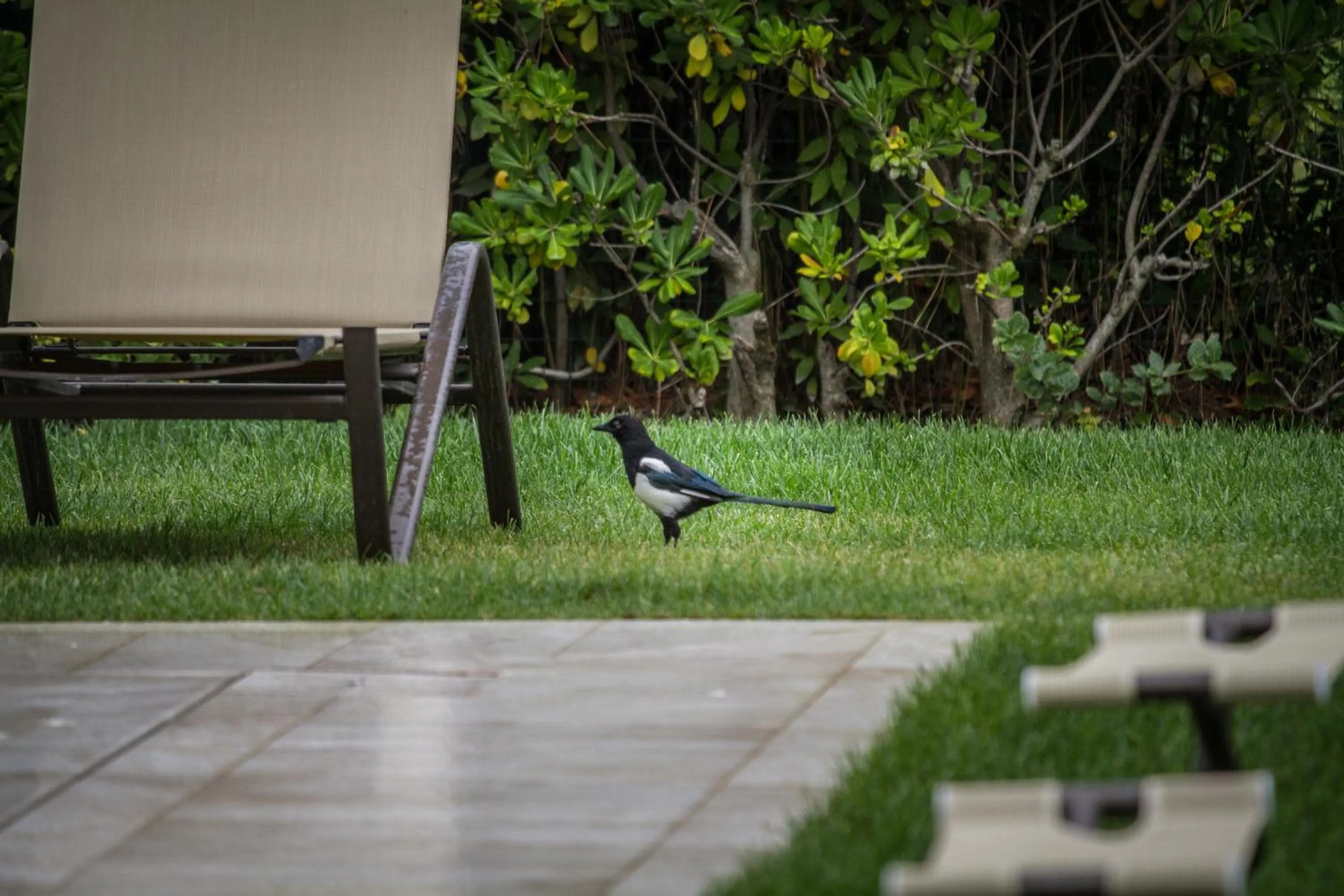 Day in Arli Hotel Hideaway Punta Ala - Adults Only