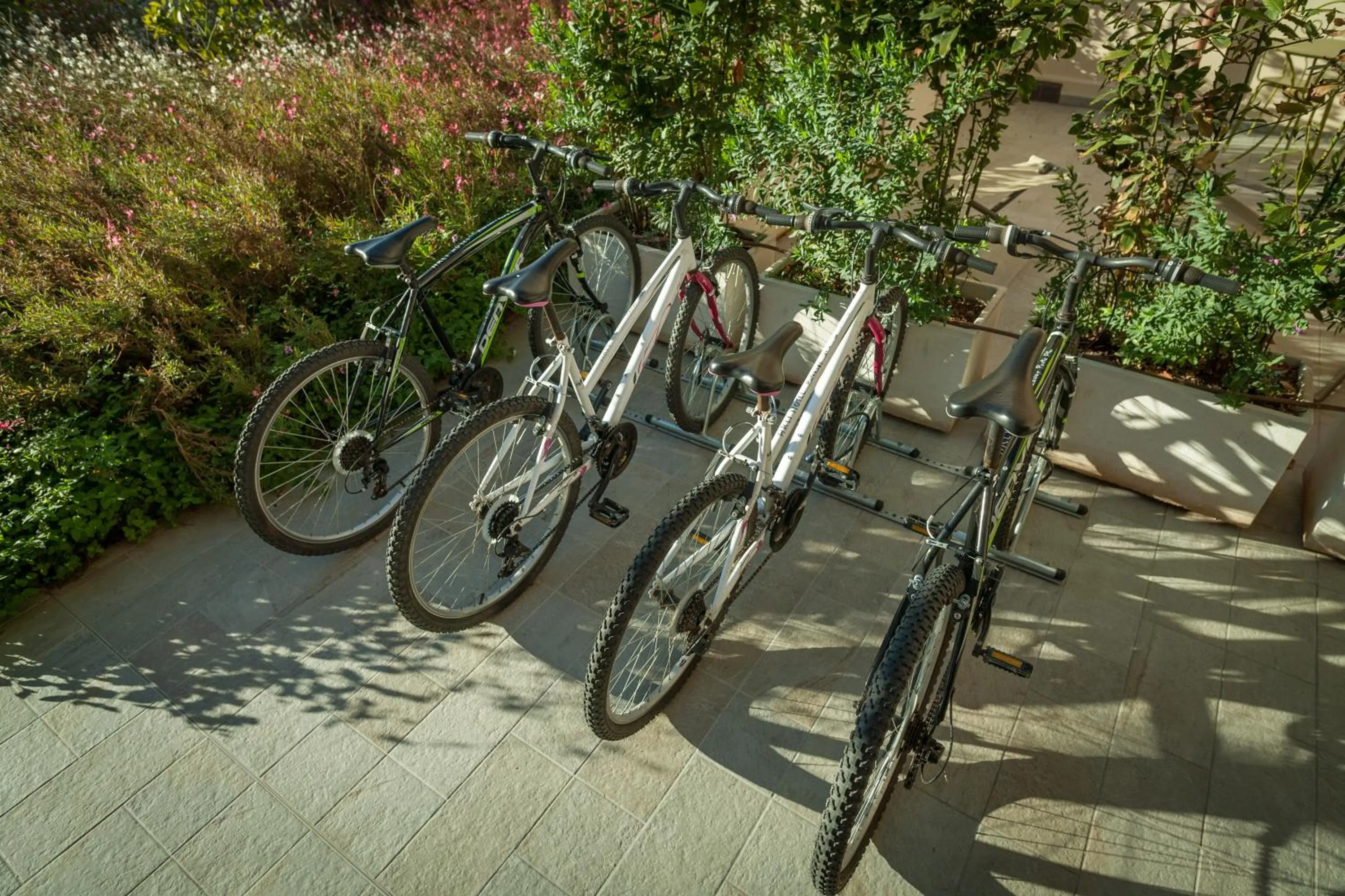 Cycling in Arli Hotel Hideaway Punta Ala - Adults Only