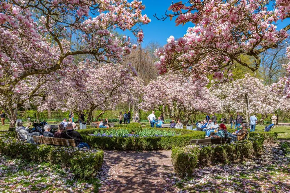 Hotel Zum Goldenen Ochsen am Schlossgarten
