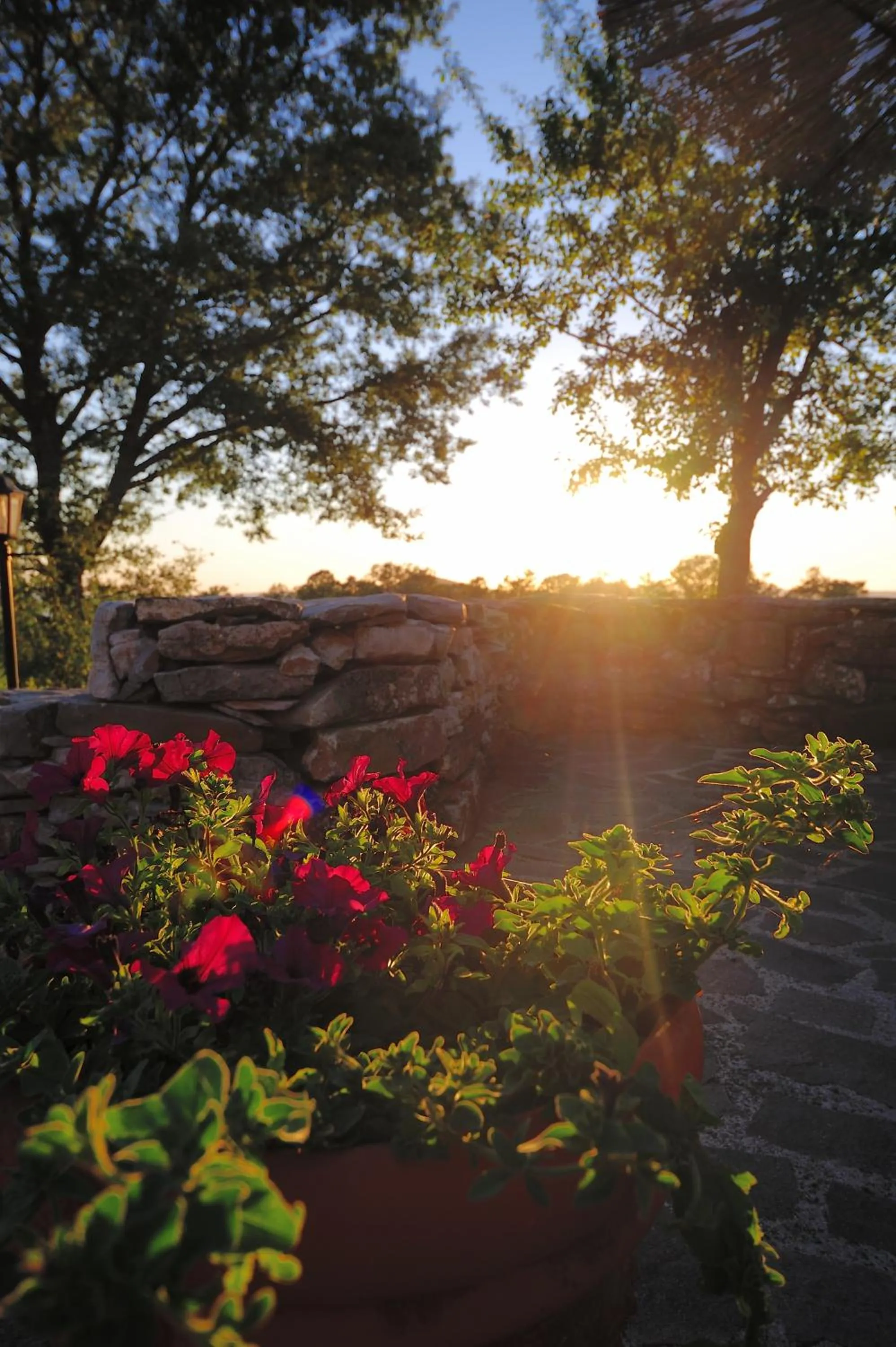 Day in Agriturismo I Monti