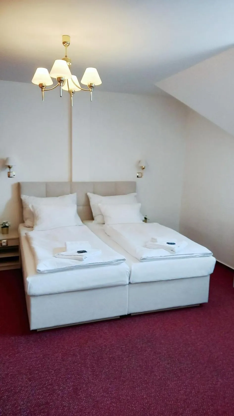 Photo of the whole room, Bed in Hotel Hradec