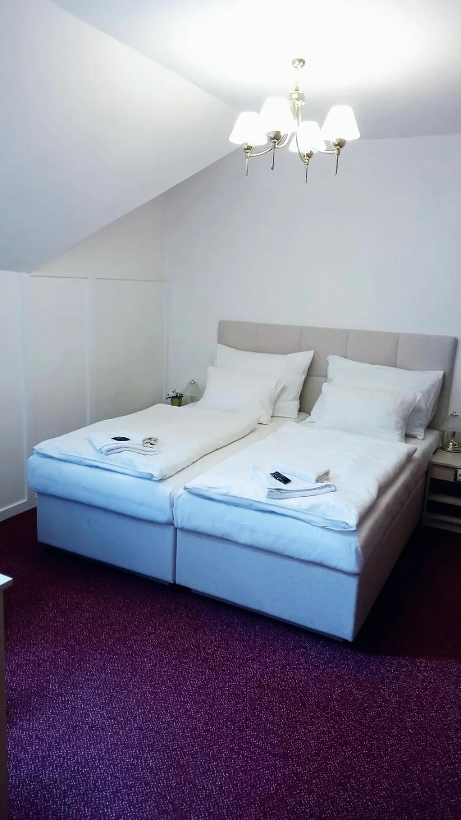 Photo of the whole room, Bed in Hotel Hradec