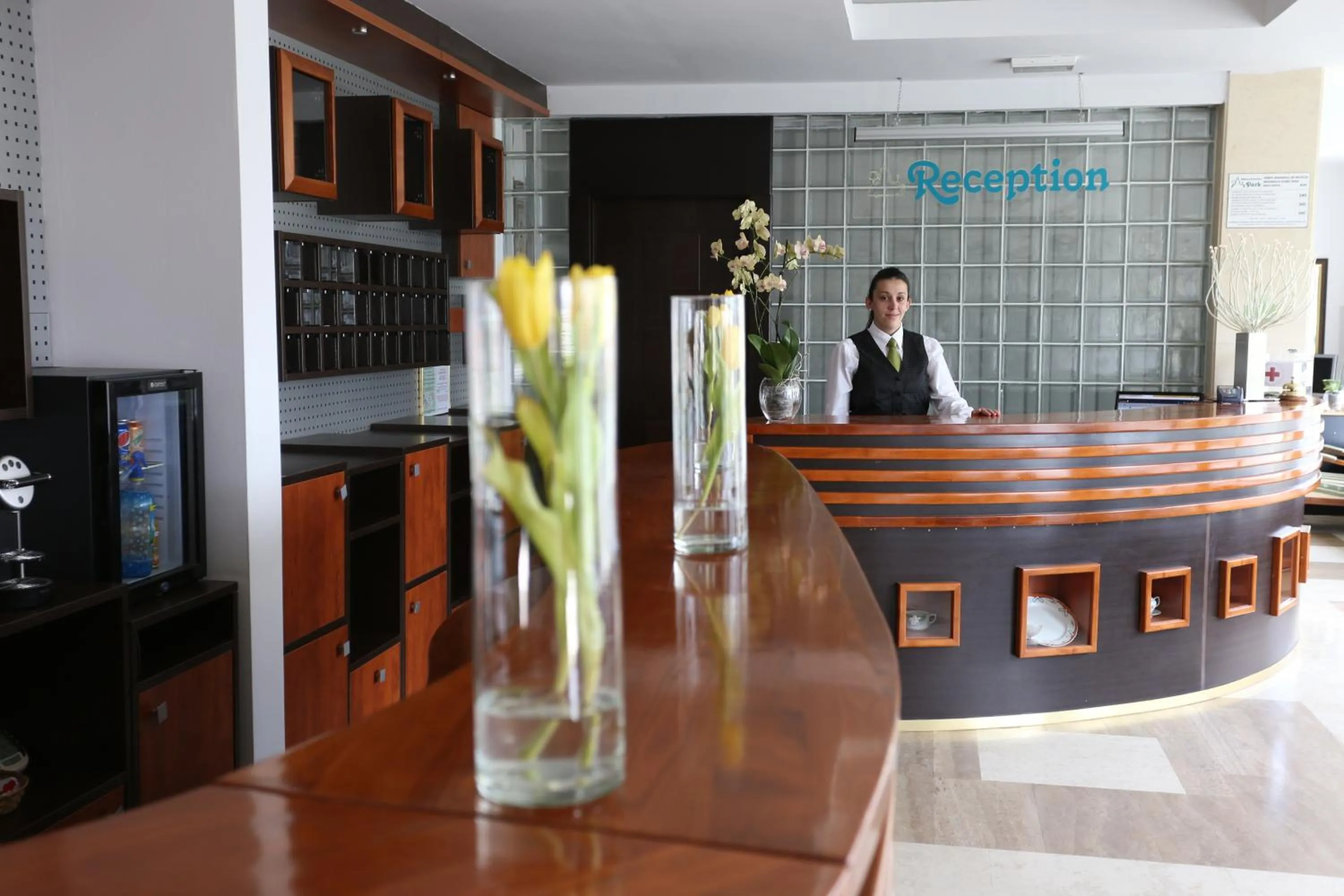 Lobby or reception in Hotel Park Sfantu Gheorghe