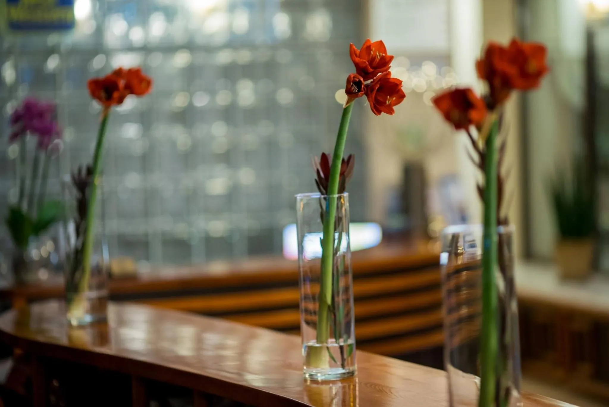 Lobby or reception in Hotel Park Sfantu Gheorghe