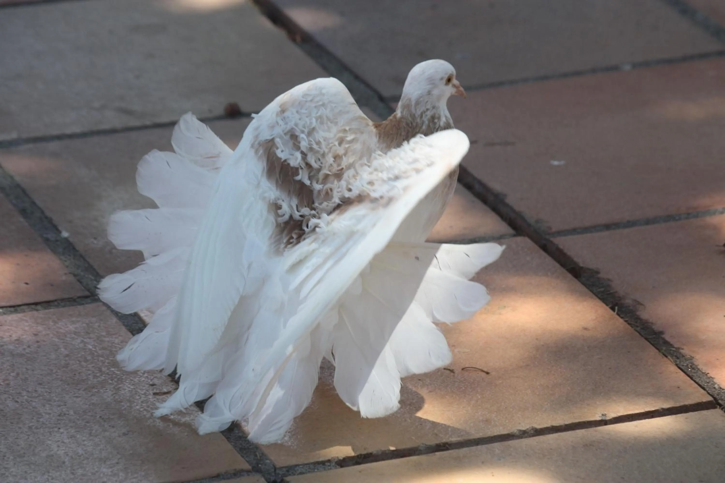 Other in Hotel Happy Caretta