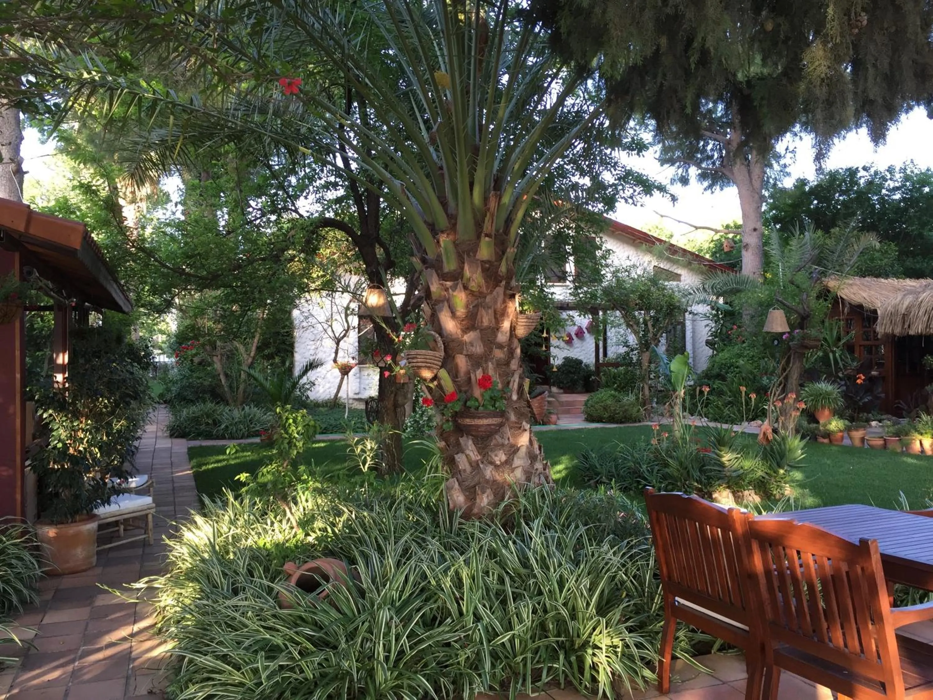 Garden in Hotel Happy Caretta