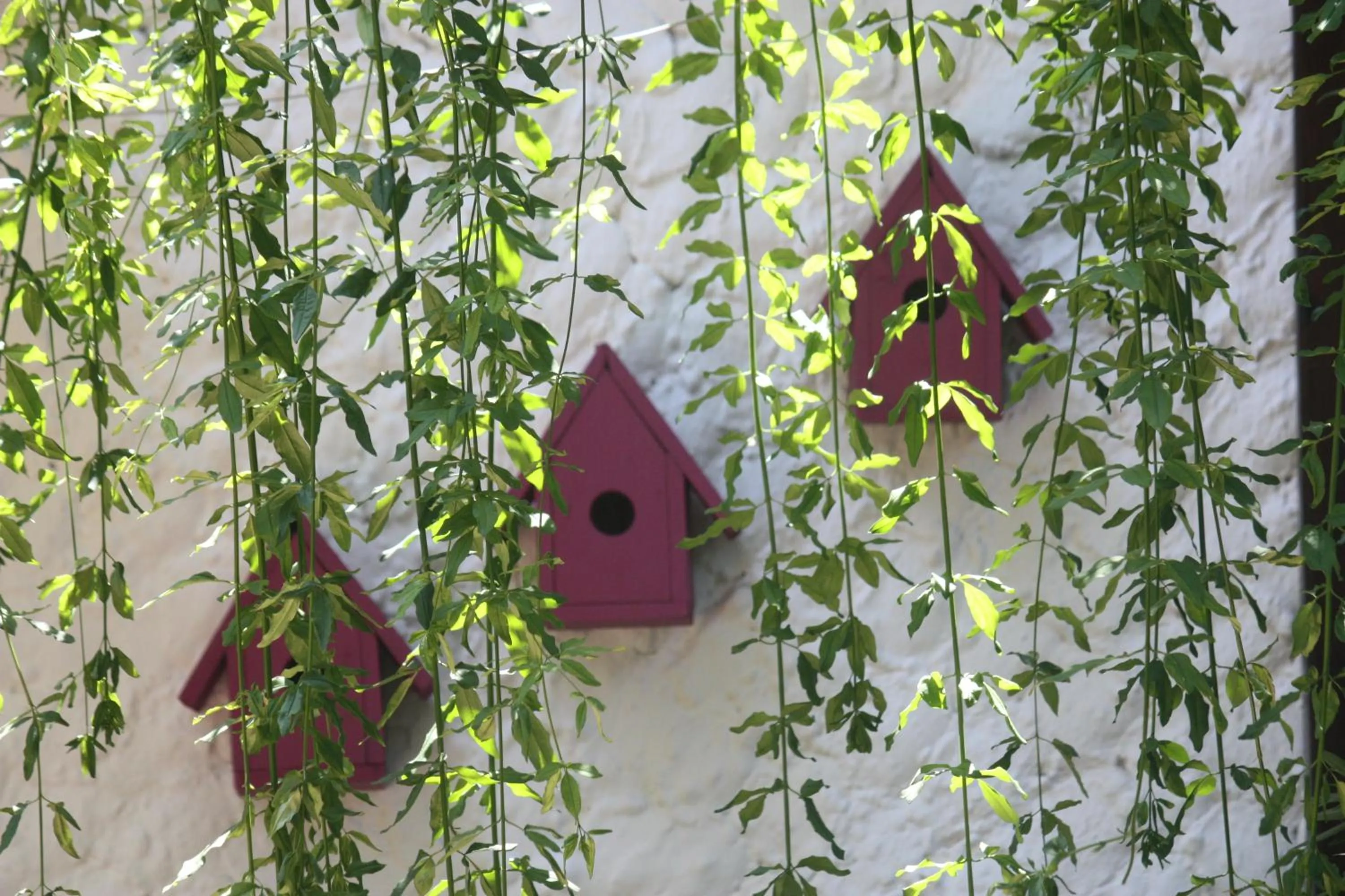 Decorative detail in Hotel Happy Caretta