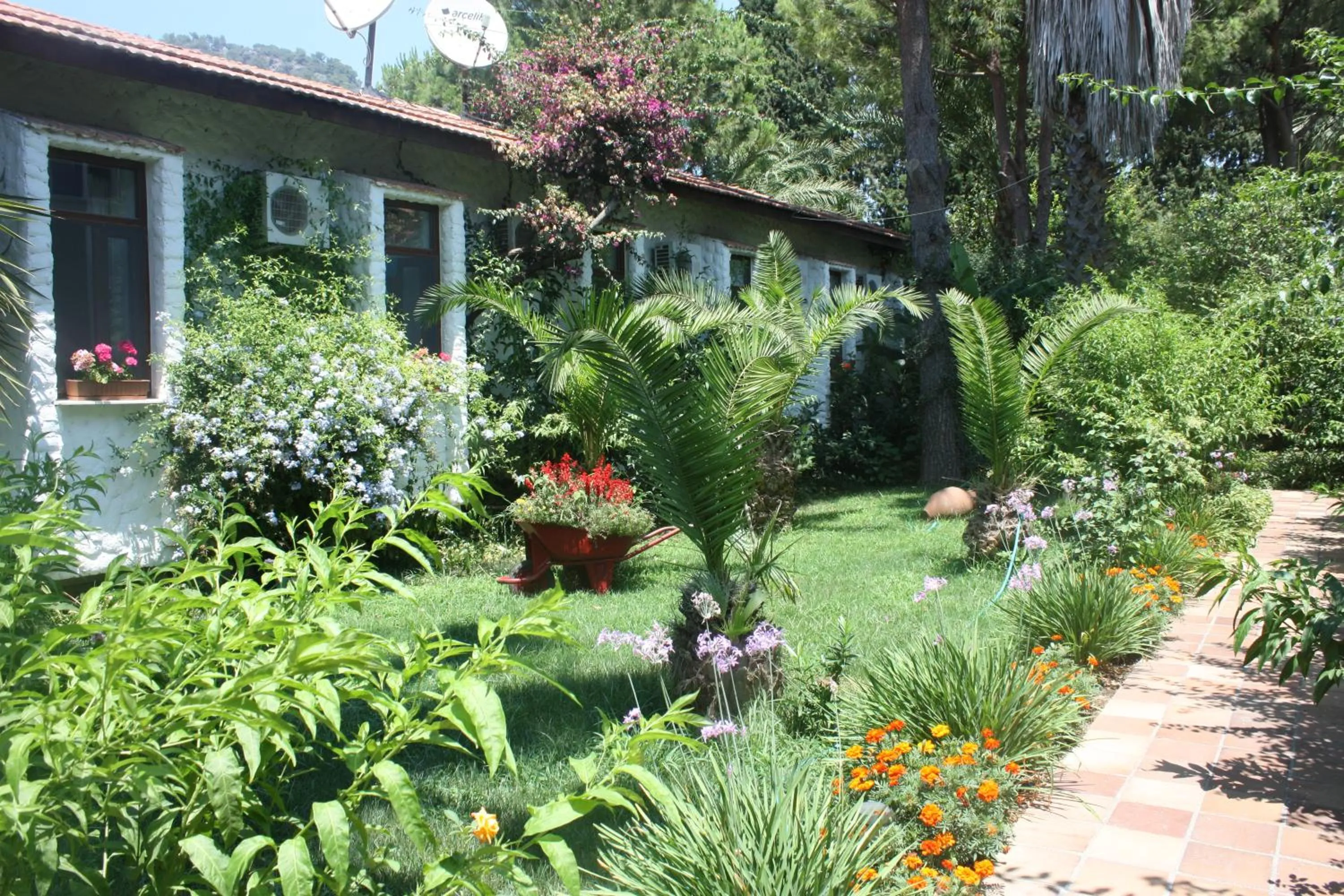 Property building in Hotel Happy Caretta