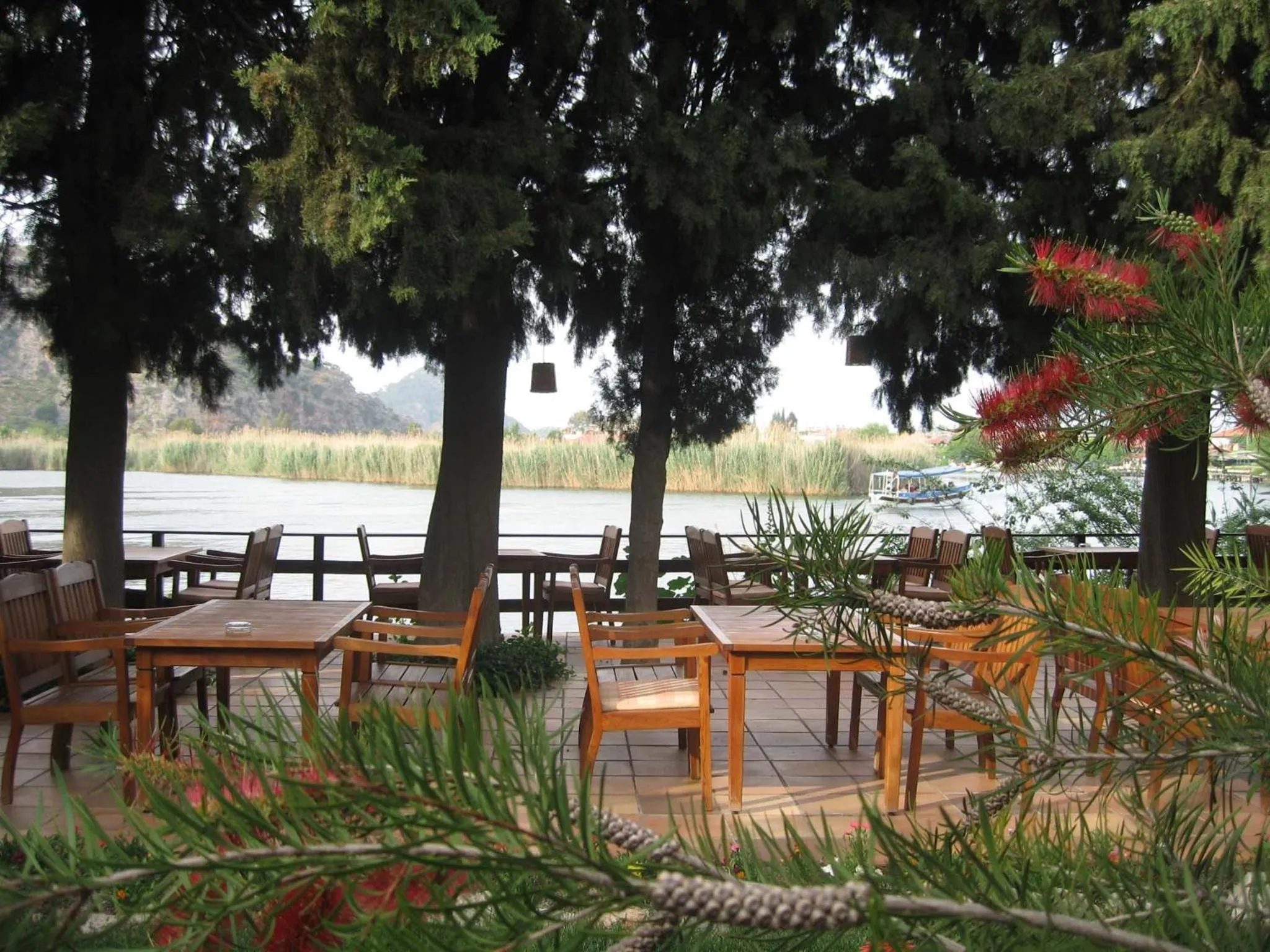 Restaurant/places to eat in Hotel Happy Caretta