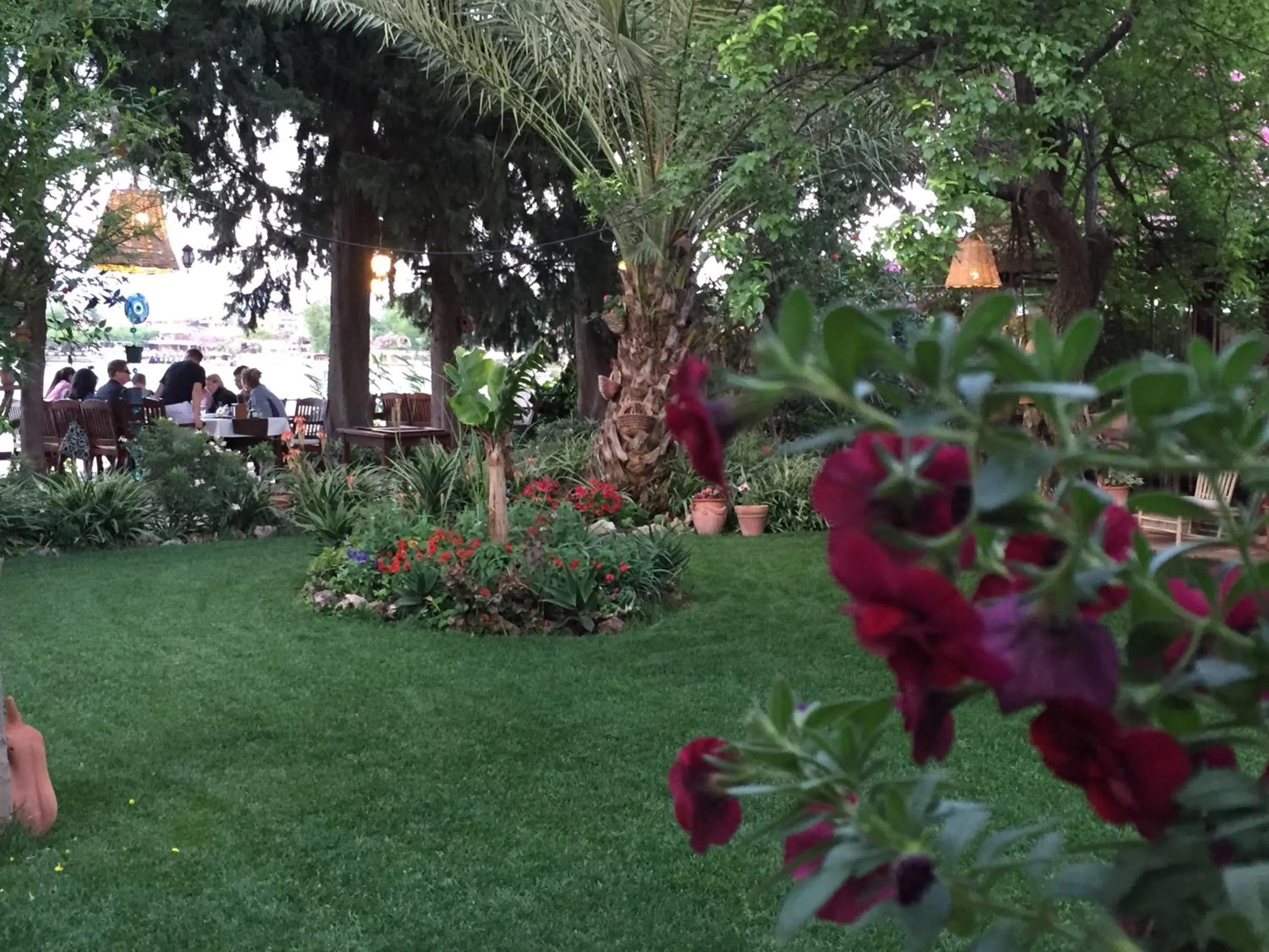 Garden in Hotel Happy Caretta