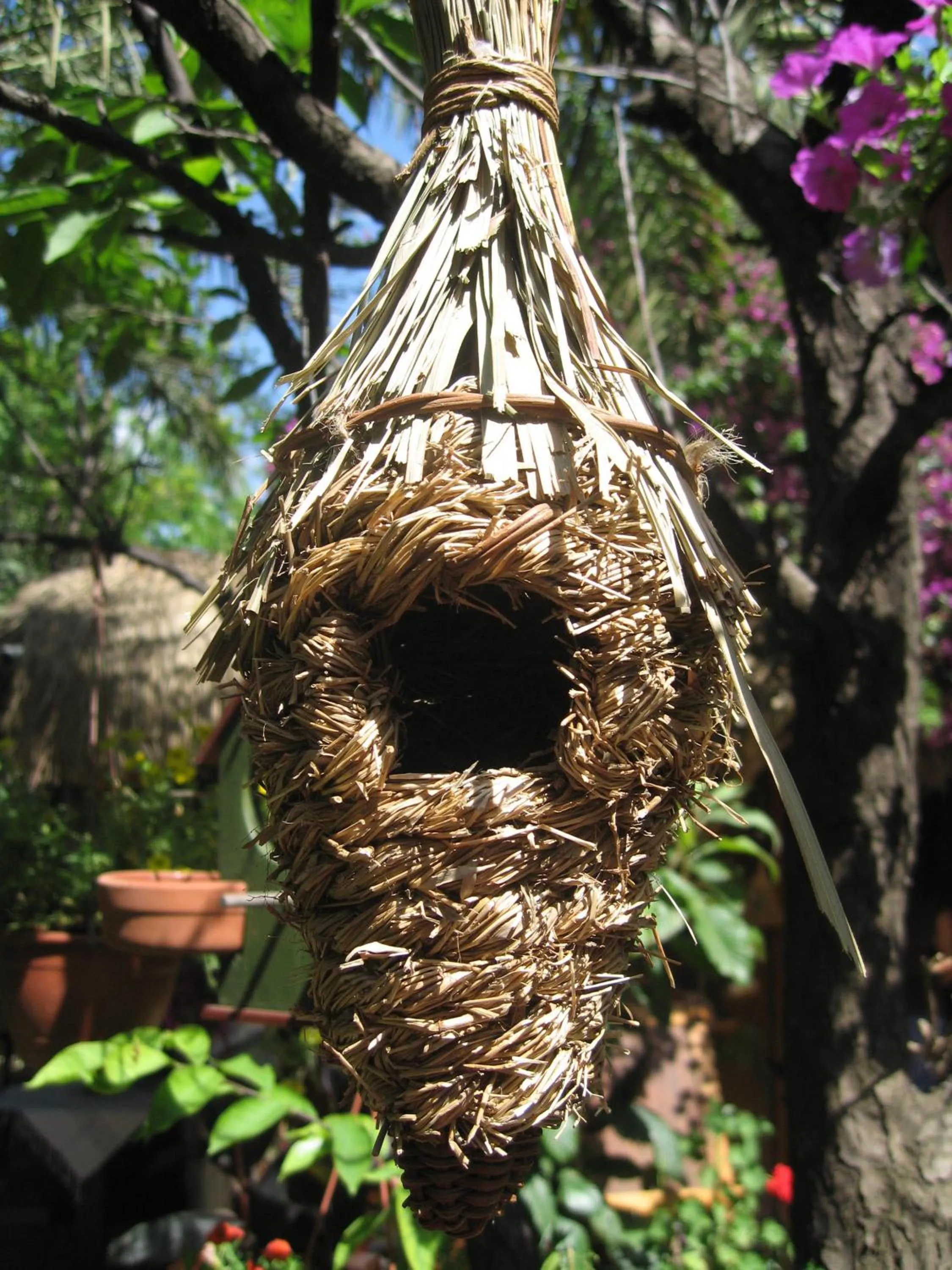 Other in Hotel Happy Caretta