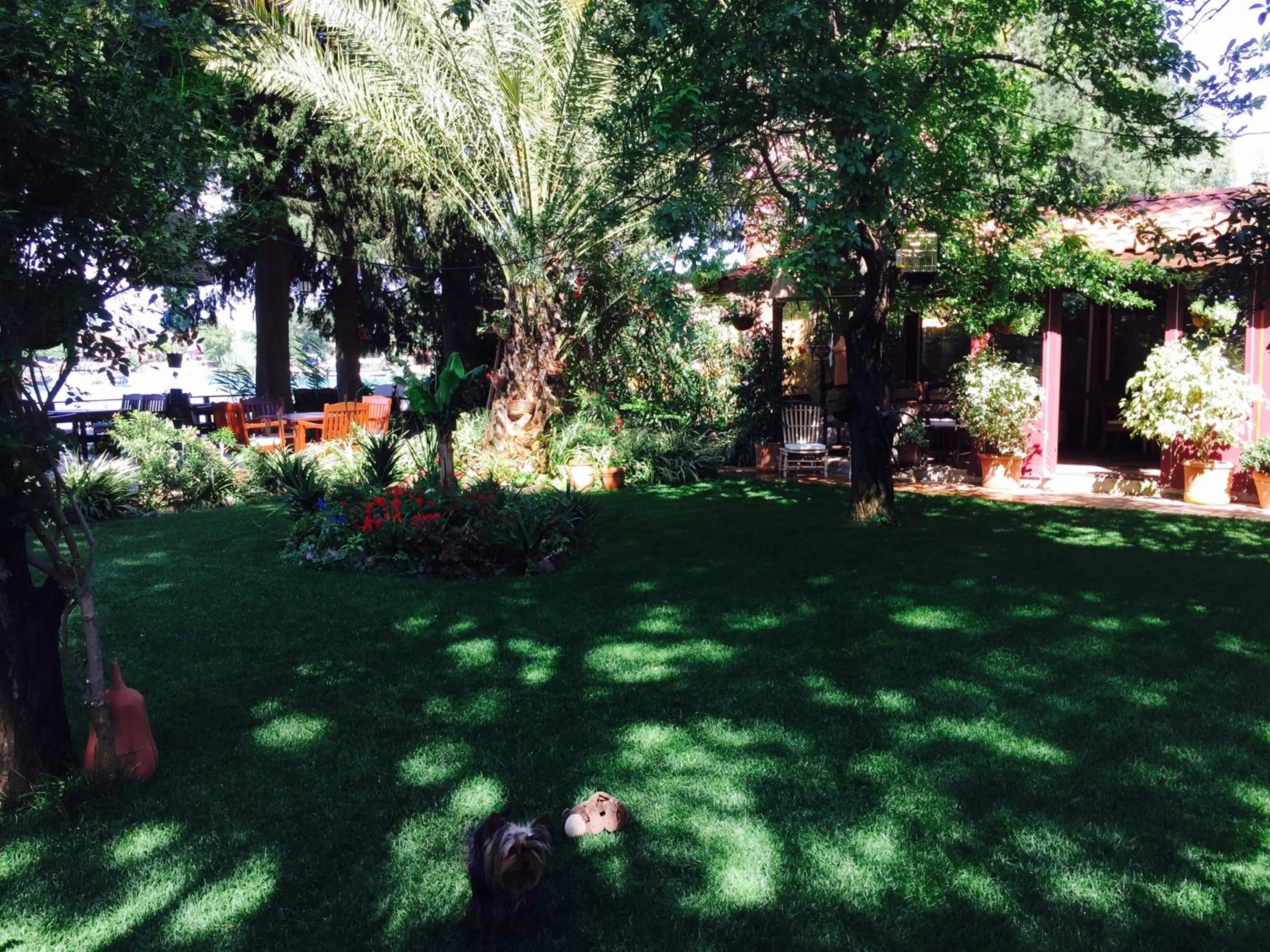 Garden in Hotel Happy Caretta