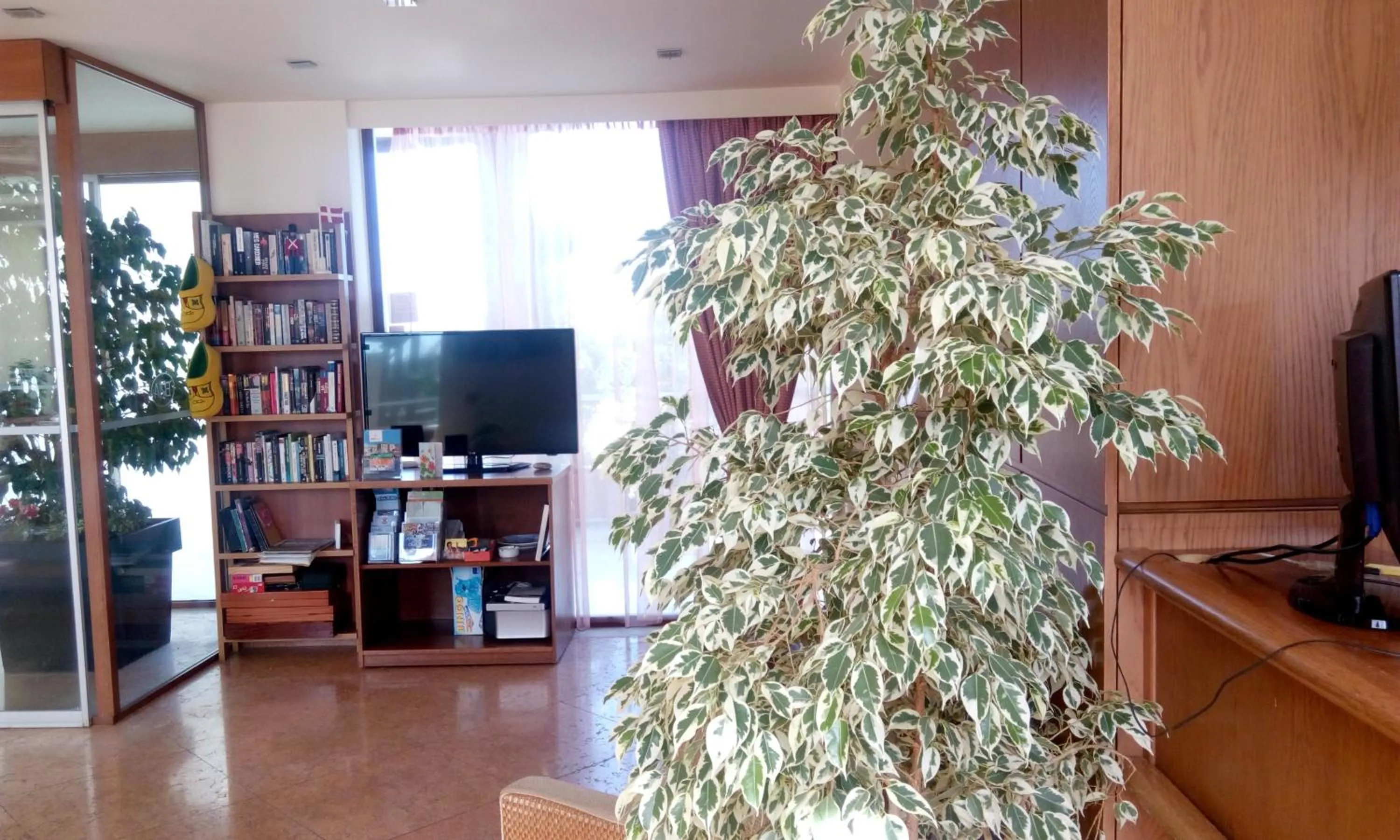 Communal lounge/ TV room in ERIA RESORT for people with special abilities