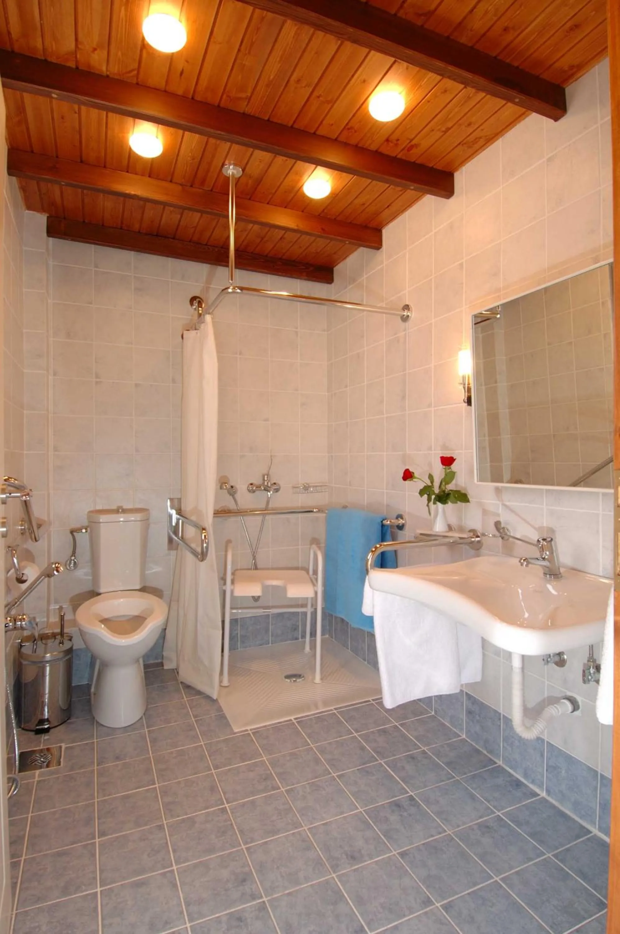 Shower in ERIA RESORT for people with special abilities